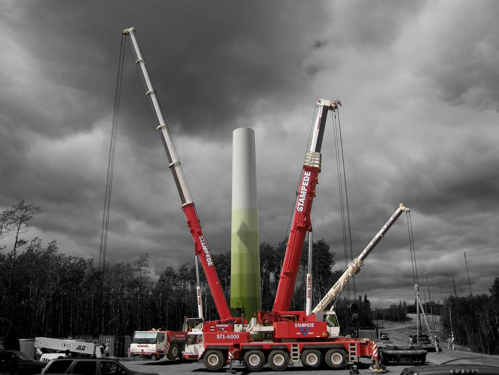 Cranes Wallpapers Wallpaper Cave