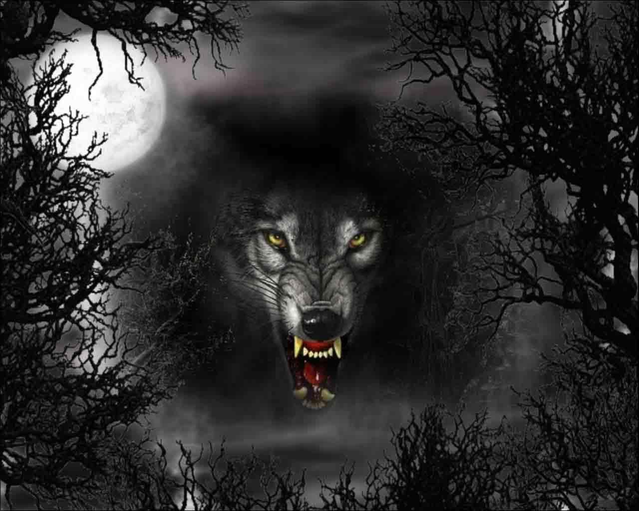 Halloween Wolf Wallpapers Wallpaper Cave