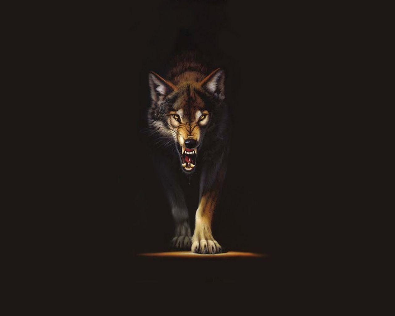 Gold Wolf Wallpapers Wallpaper Cave