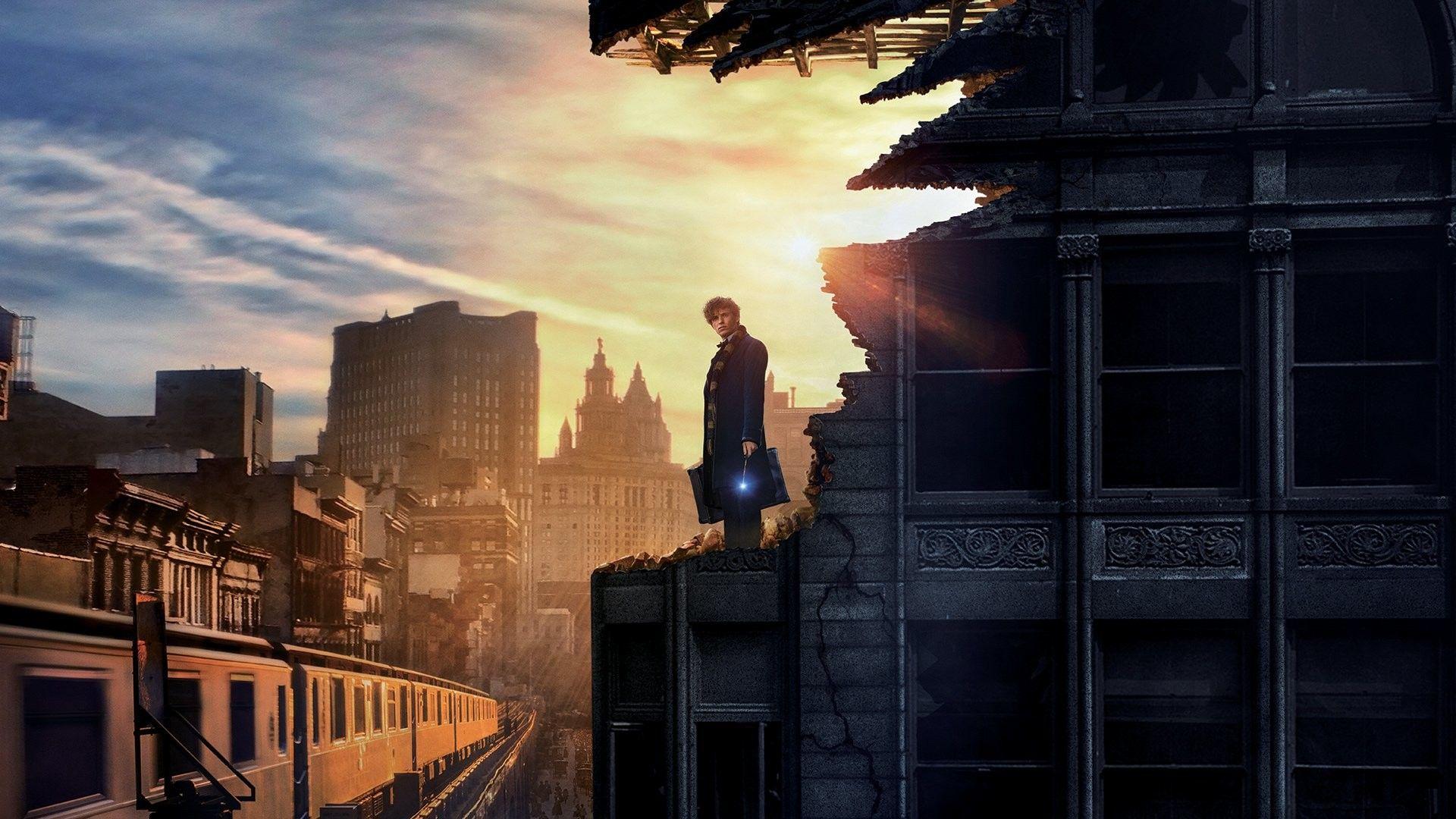 Newt Scamander Wallpapers Wallpaper Cave