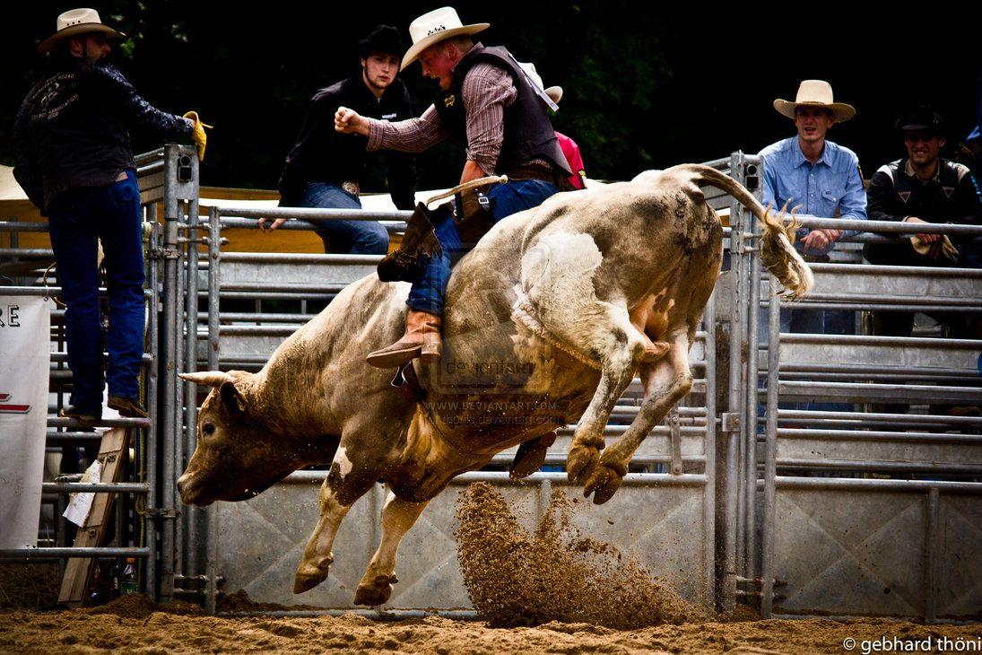 Bull Riding Wallpapers Wallpaper Cave
