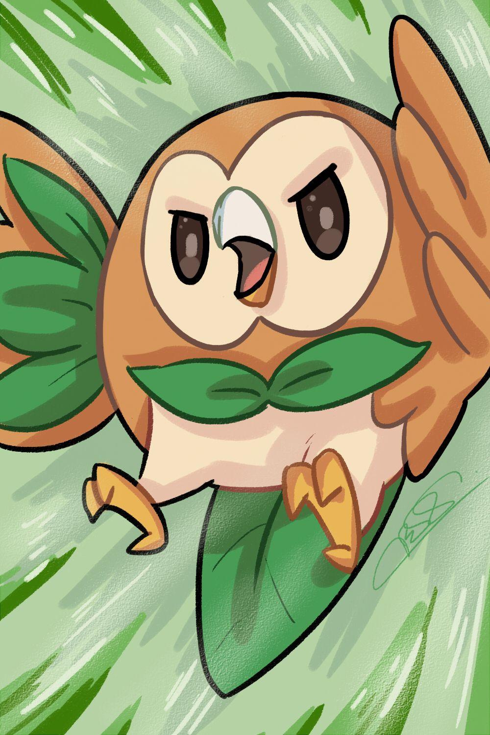 Rowlet HD Wallpapers Wallpaper Cave