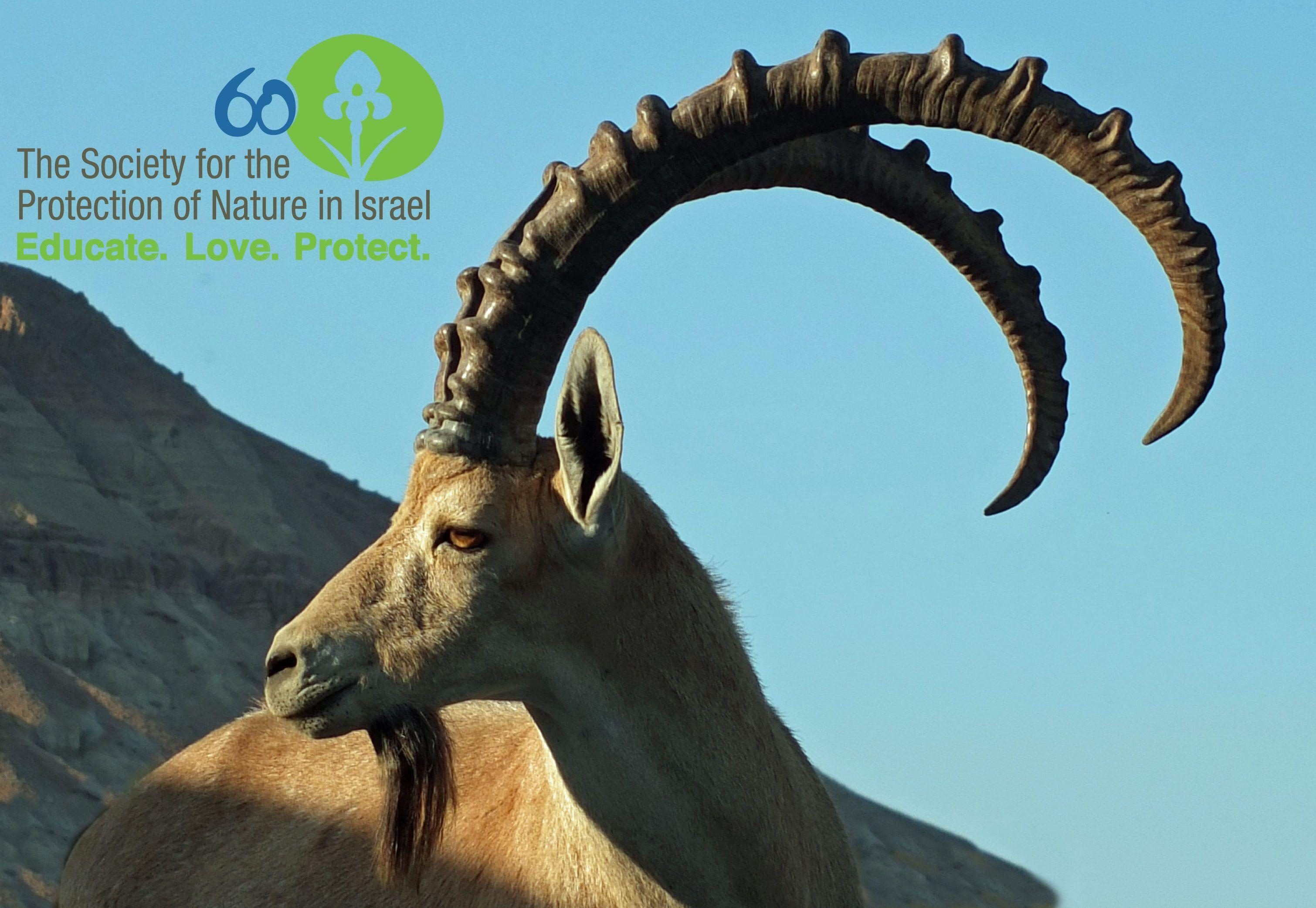 Protection Wallpapers Wallpaper Cave