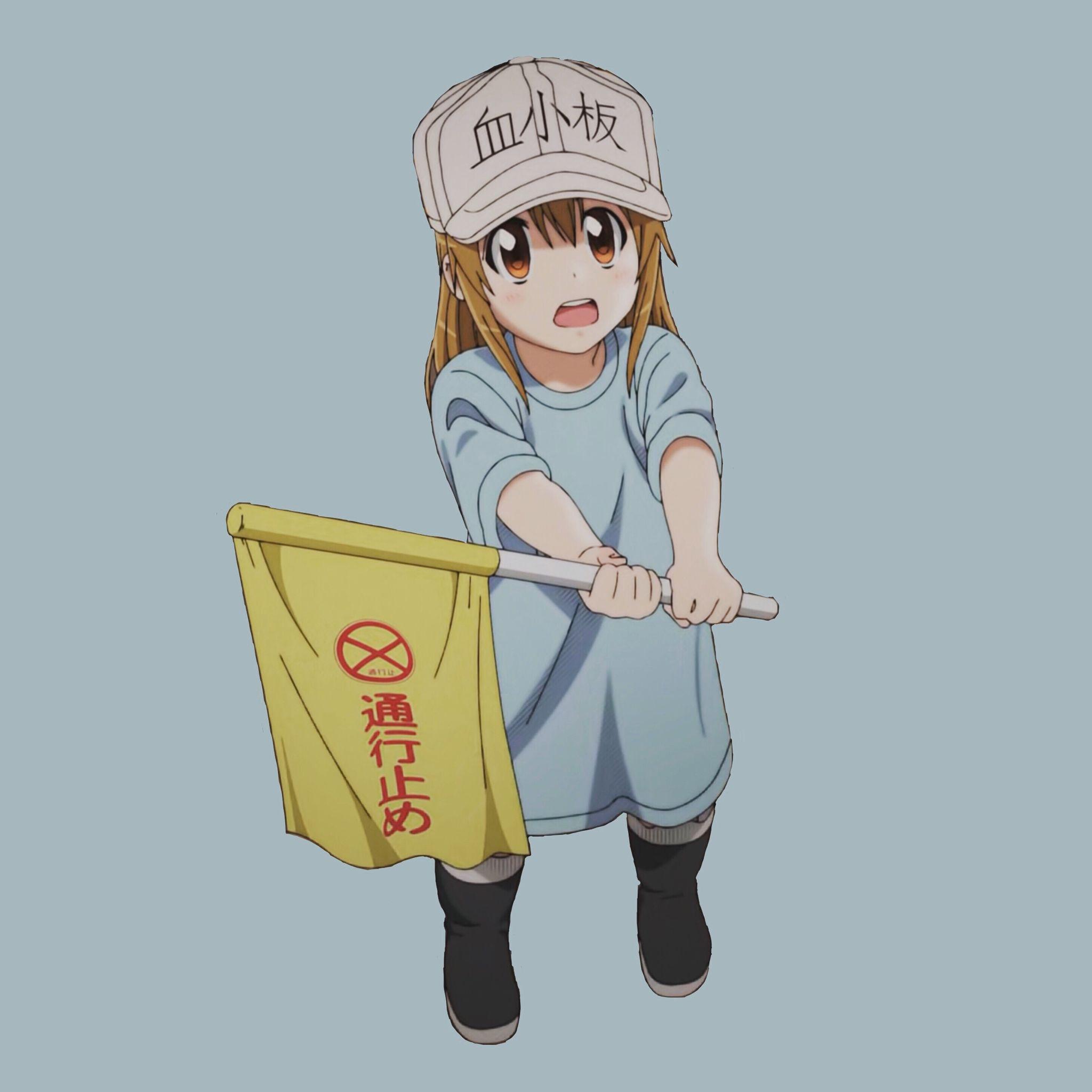 Hataraku Saibou Wallpapers Wallpaper Cave