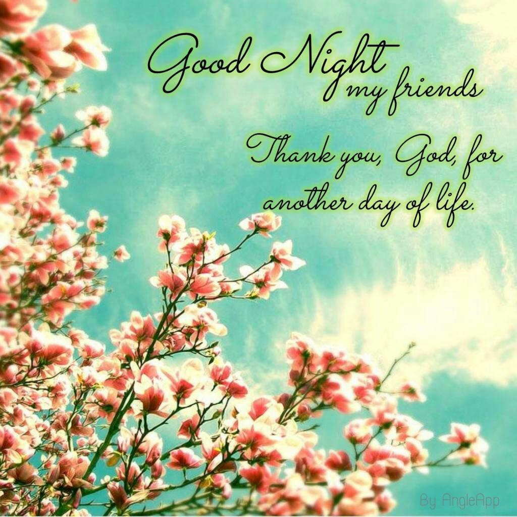 Good Night Friends Wallpapers