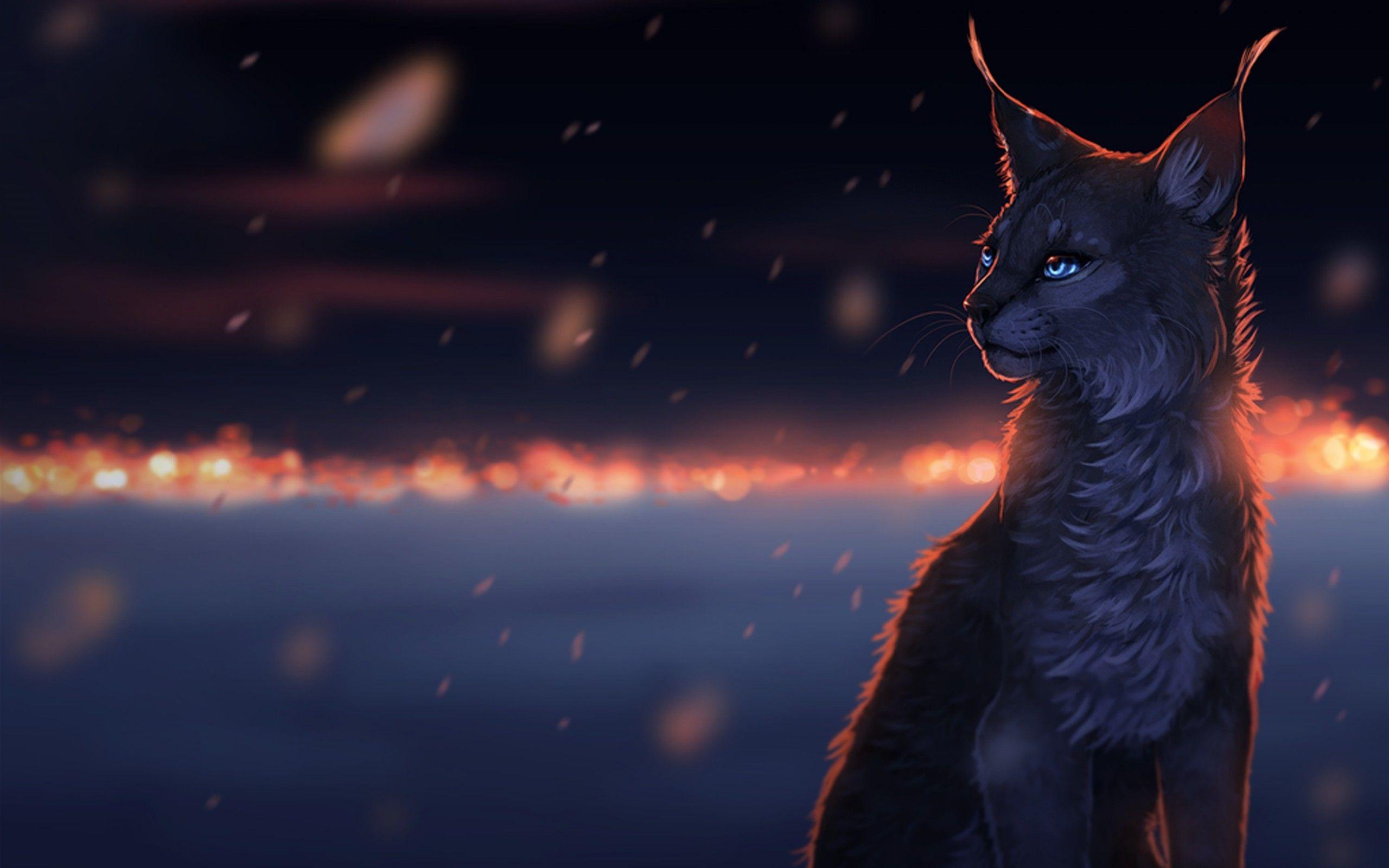 Fantasy Cat Wallpapers Wallpaper Cave