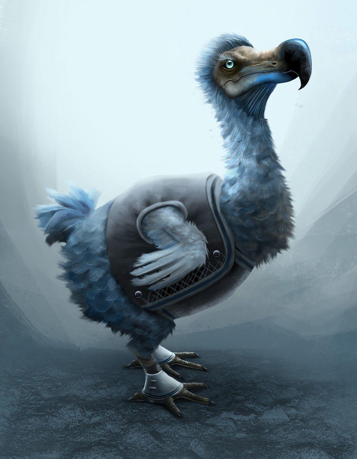Dodo Wallpapers Wallpaper Cave