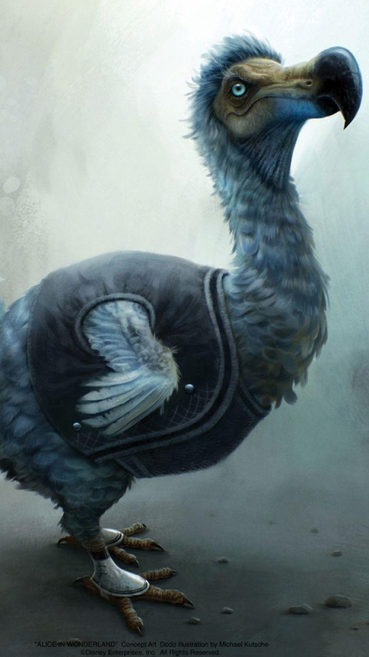Dodo Wallpapers Wallpaper Cave