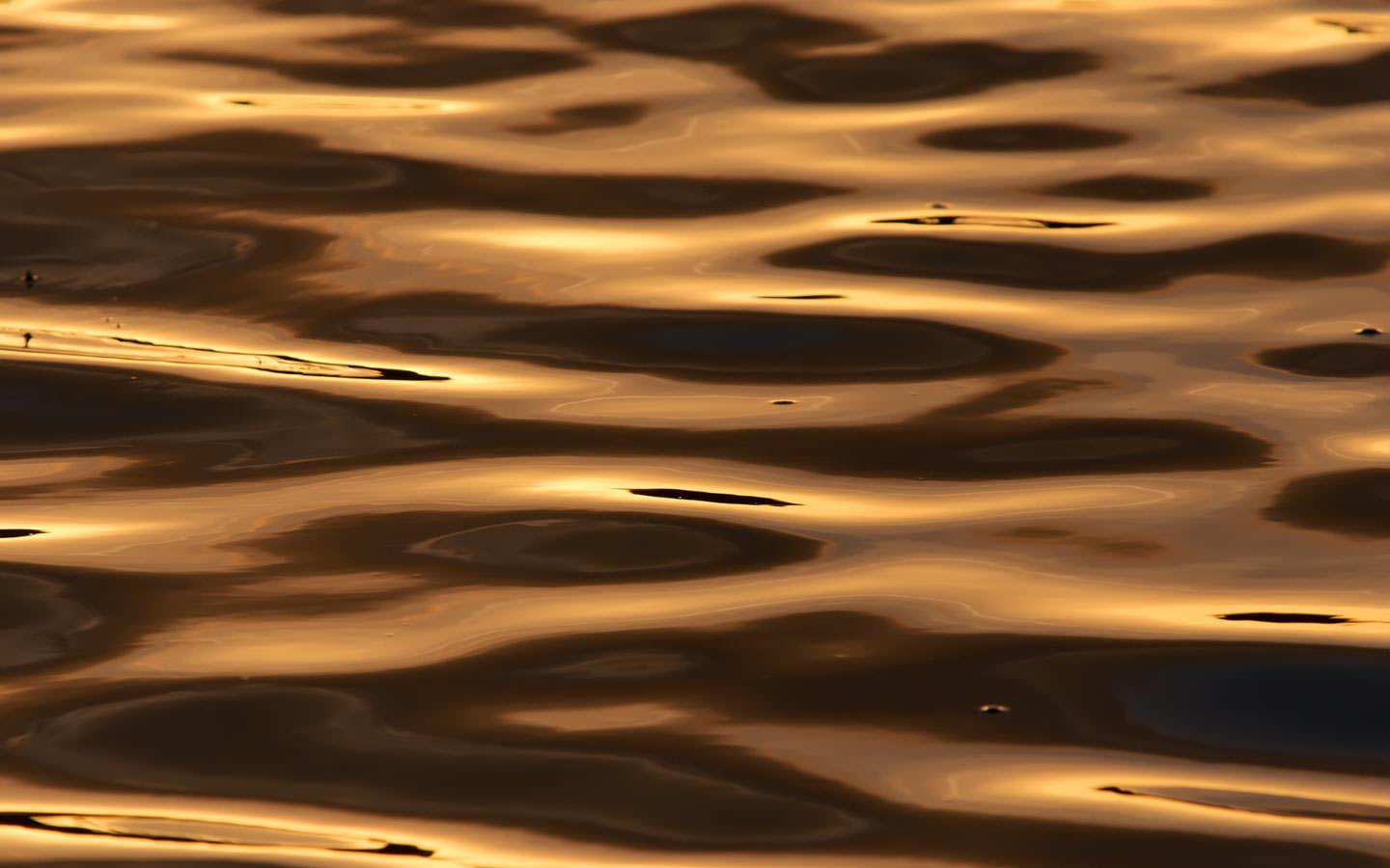 Thick Wallpapers Wallpaper Cave