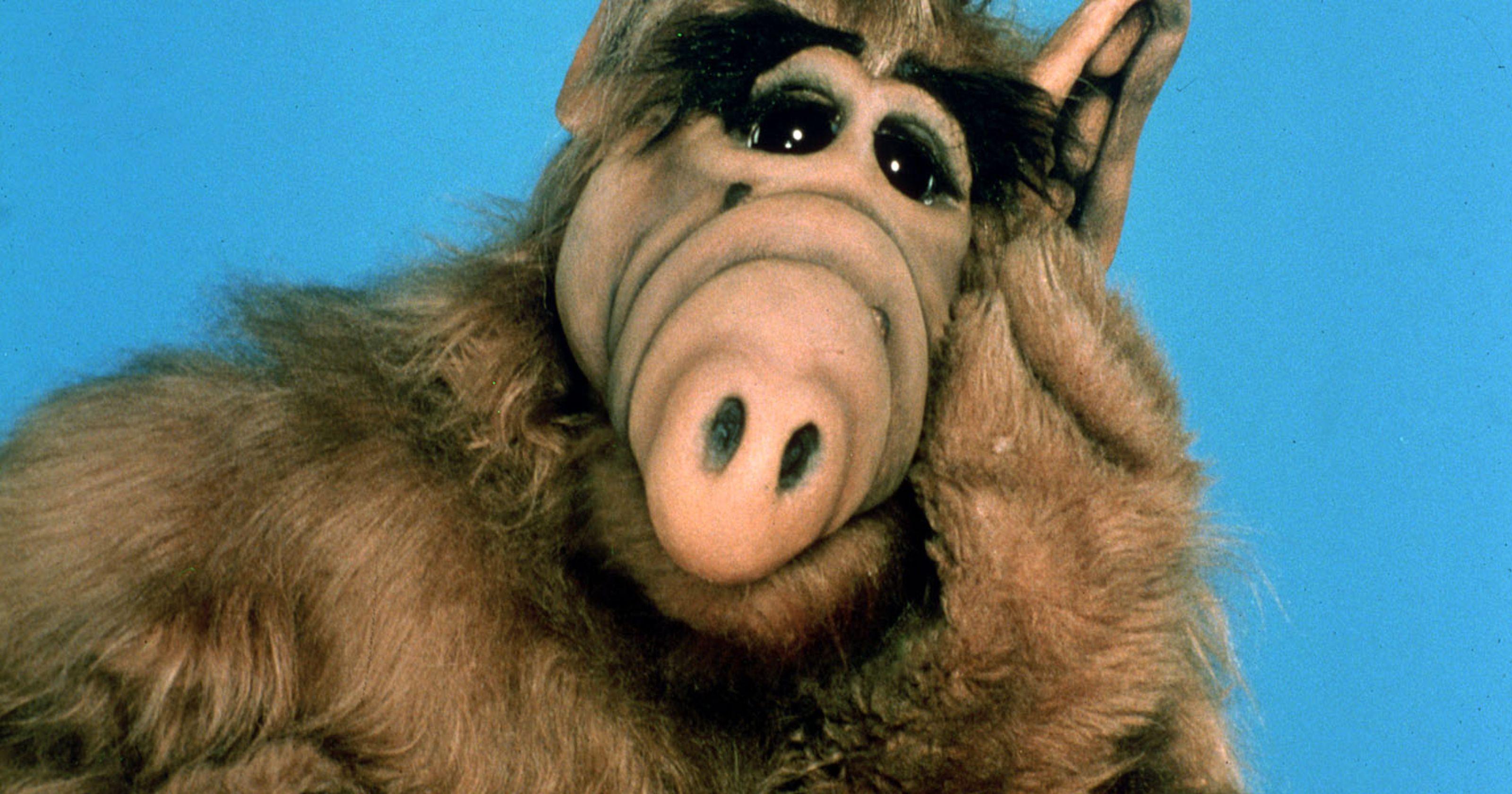 ALF TV Show Wallpapers - Wallpaper Cave