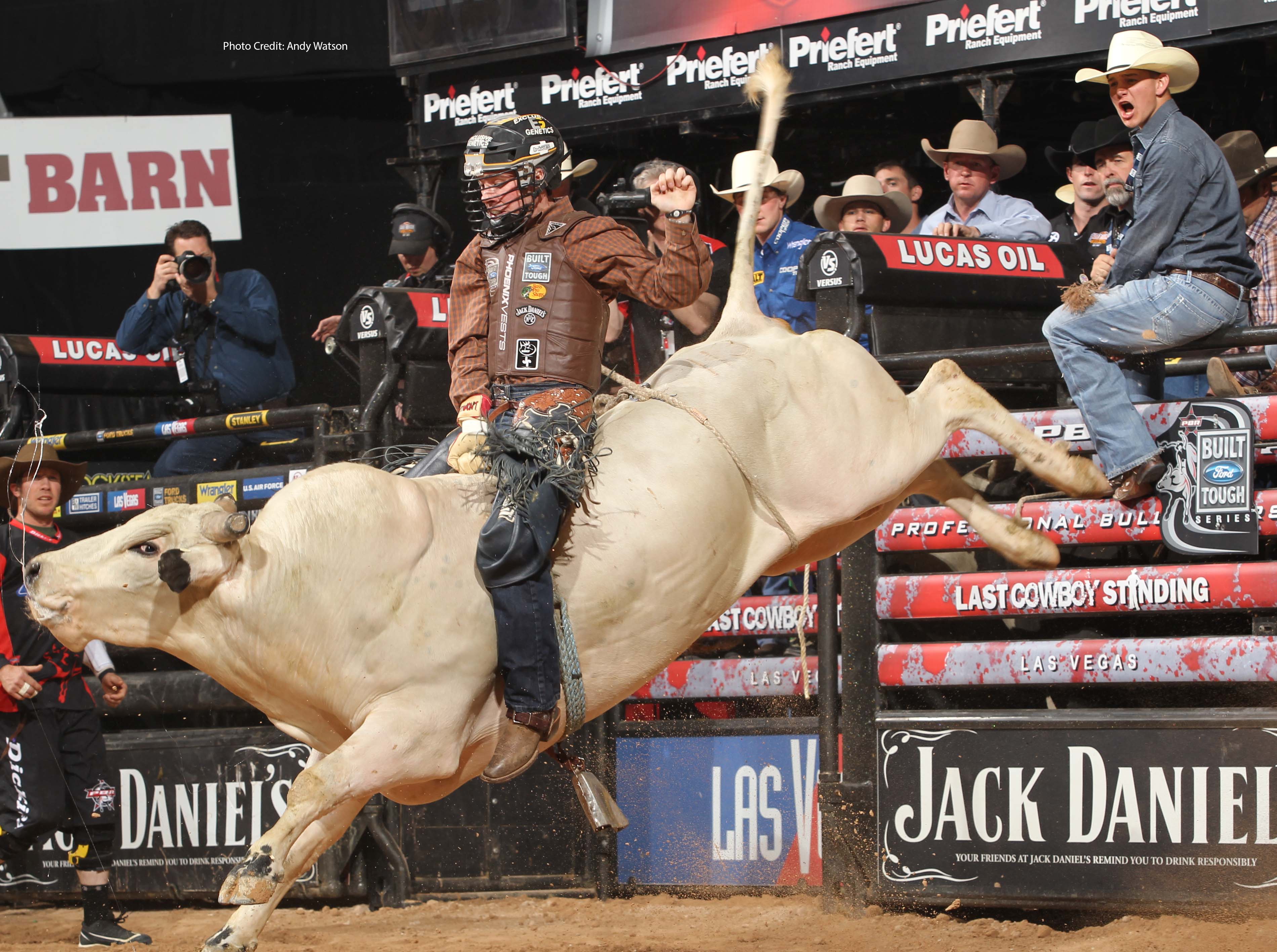 Bull Rider Wallpapers Wallpaper Cave