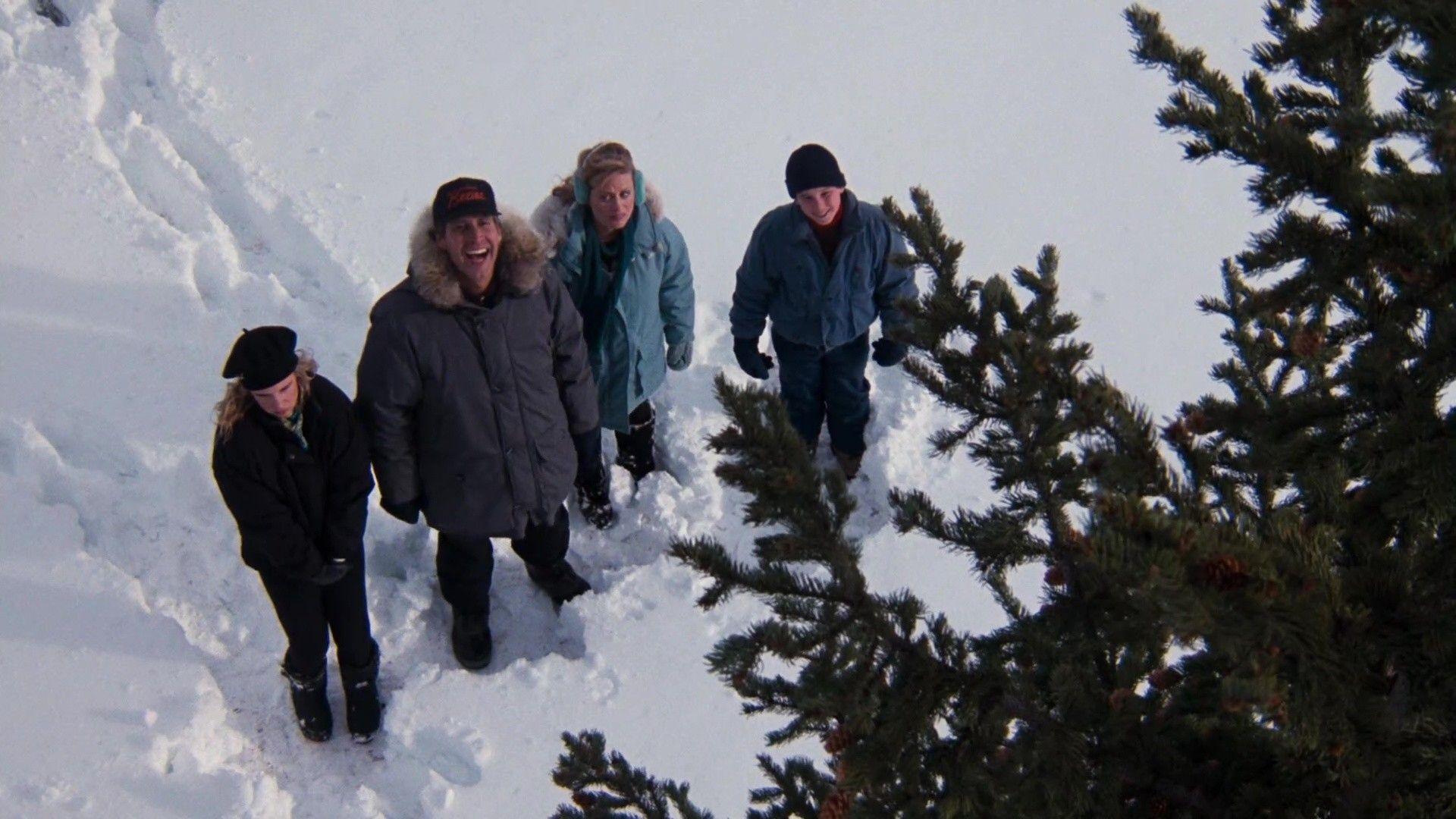 National Lampoon's Christmas Vacation Wallpapers Wallpaper Cave