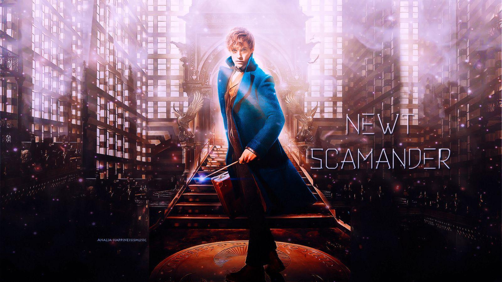 Newt Scamander Wallpapers Wallpaper Cave