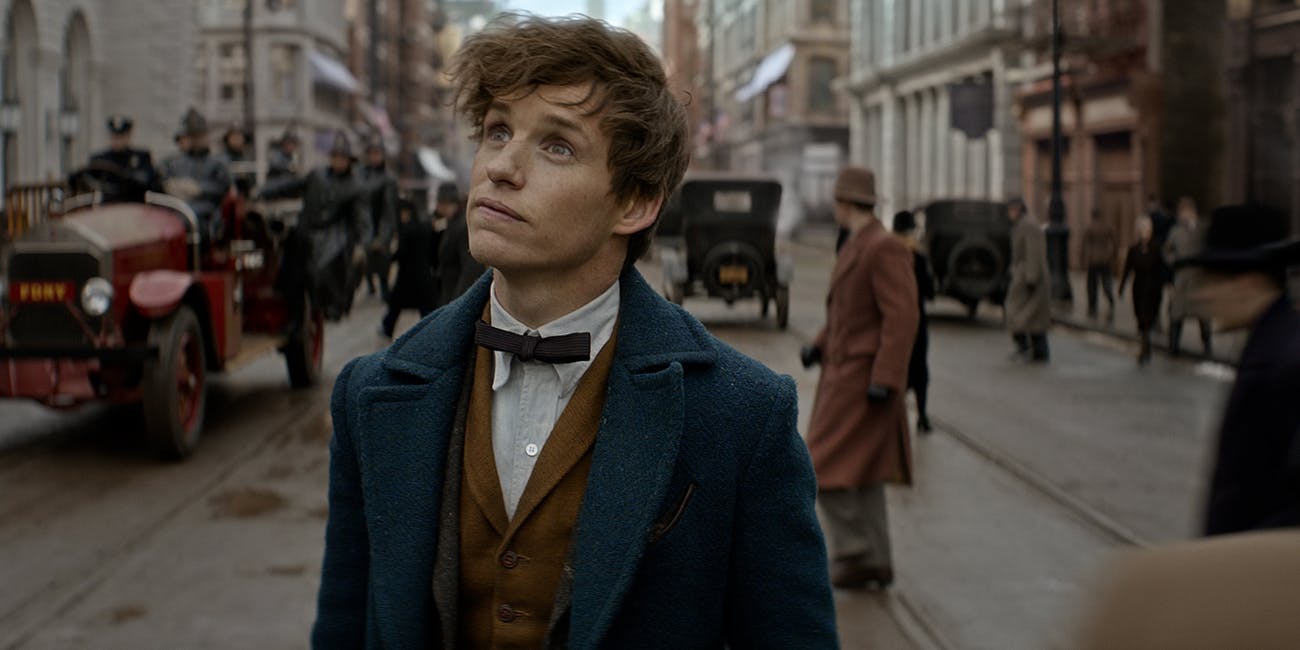 Newt Scamander Wallpapers Wallpaper Cave