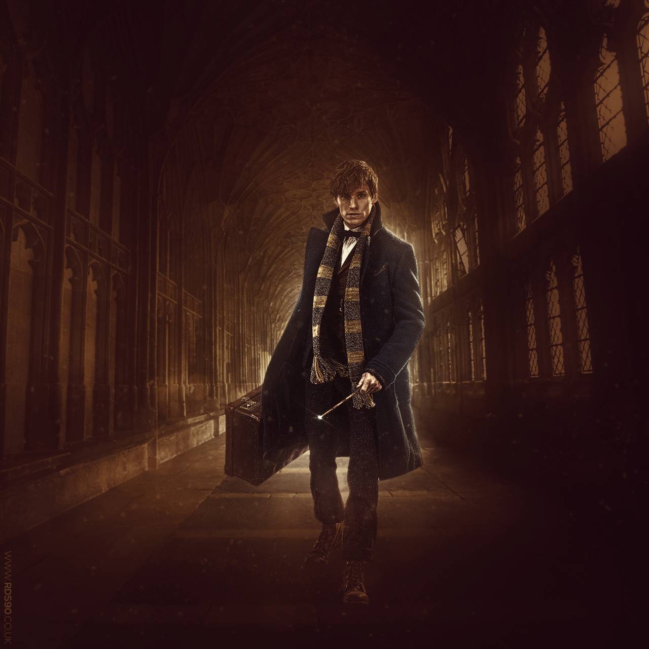 Newt Scamander Wallpapers Wallpaper Cave