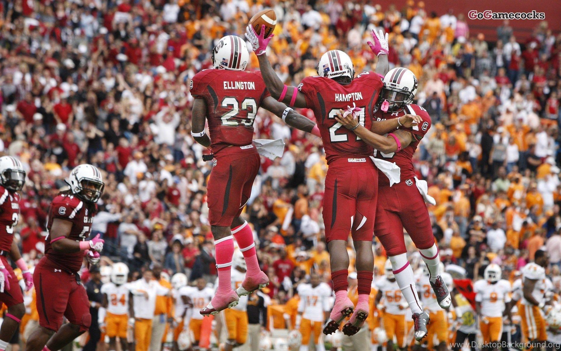 South Carolina Gamecocks Football Wallpapers Wallpaper Cave