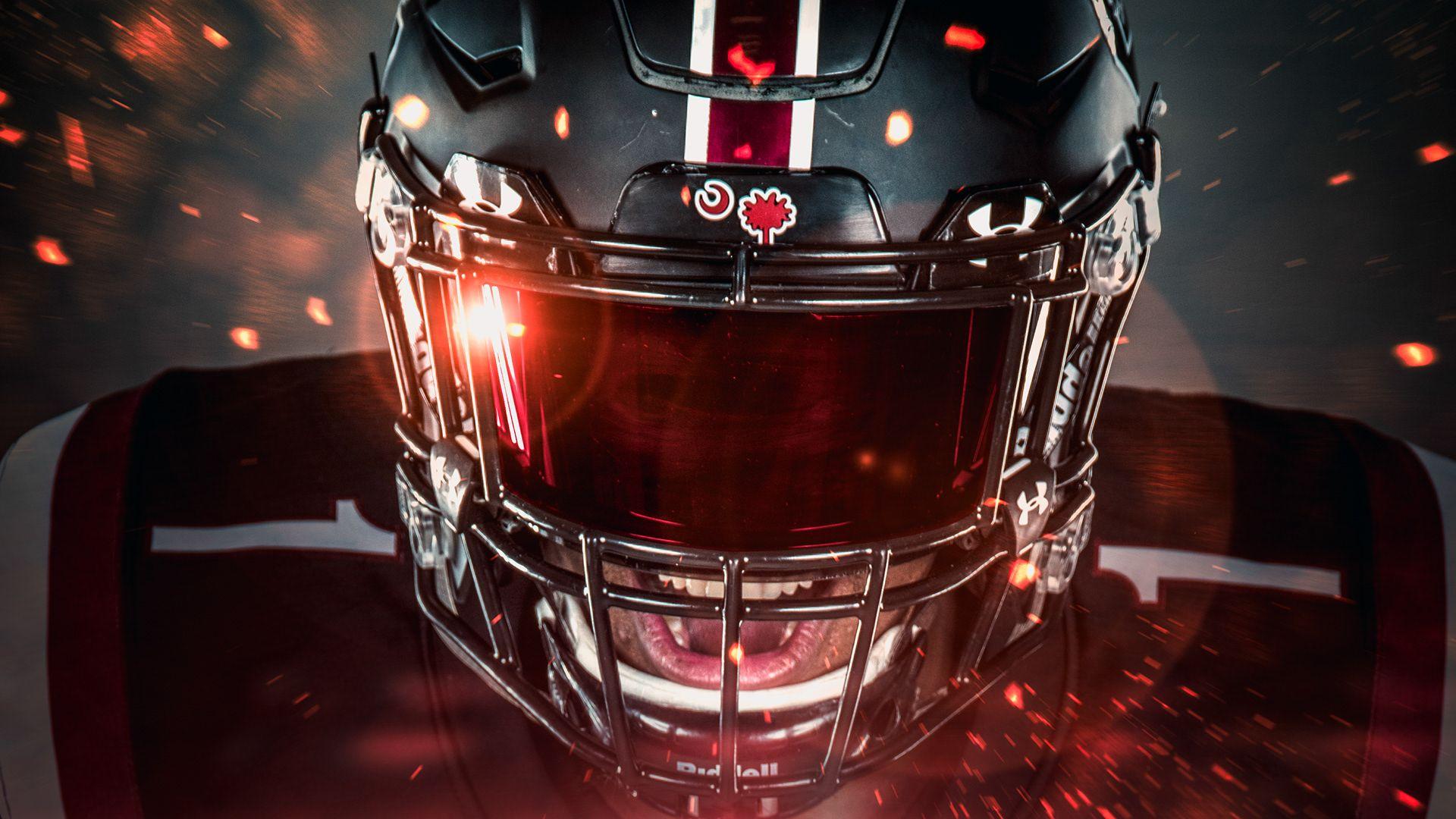 South Carolina Gamecocks Football Wallpapers Wallpaper Cave