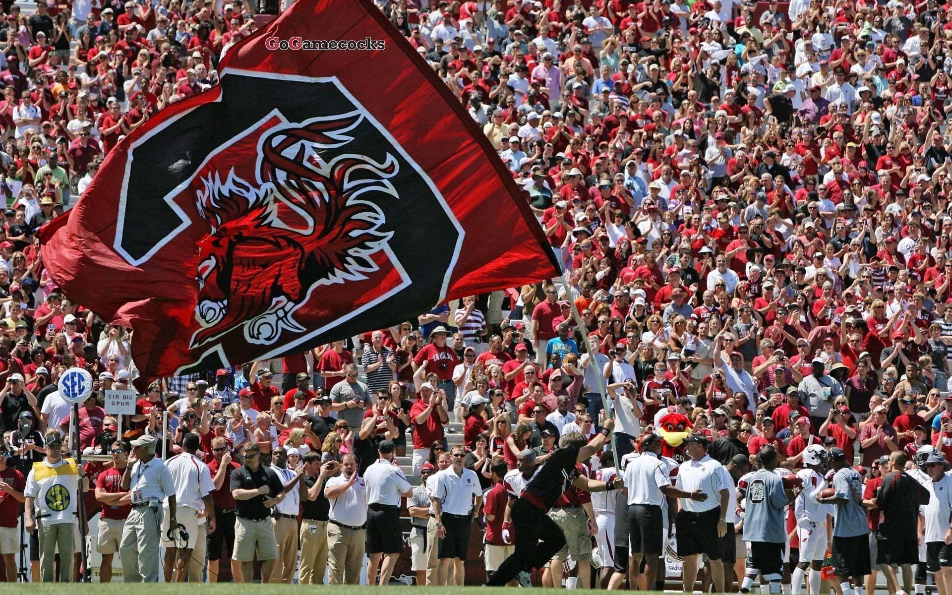 South Carolina Gamecocks Football Wallpapers Wallpaper Cave