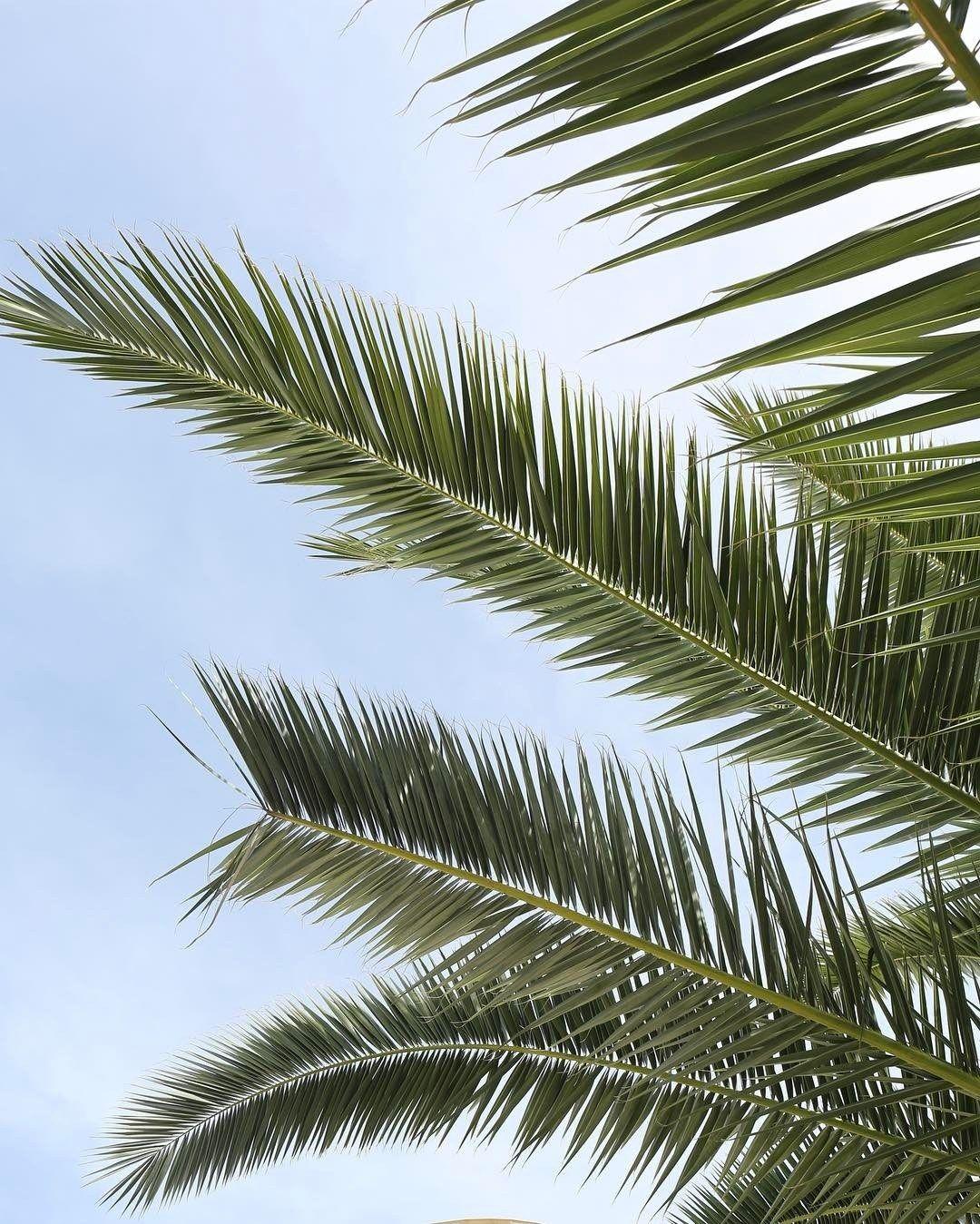 Urban Outfitters Wallpapers Wallpaper Cave