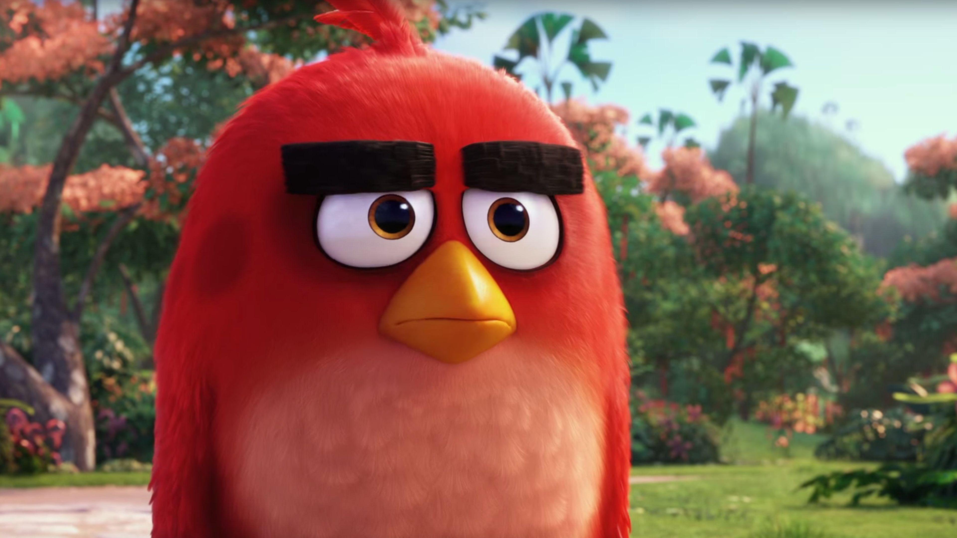 Angry Birds Movie Red Wallpapers Wallpaper Cave