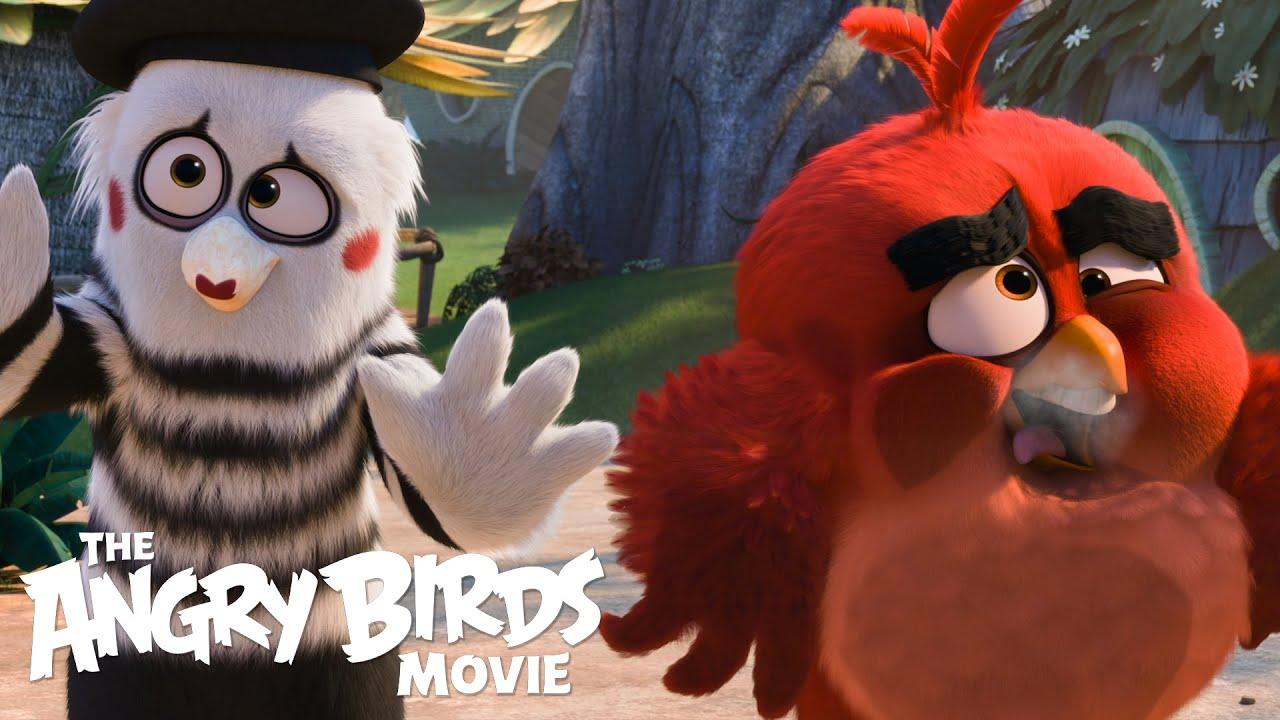 Angry Birds Movie Red Wallpapers Wallpaper Cave
