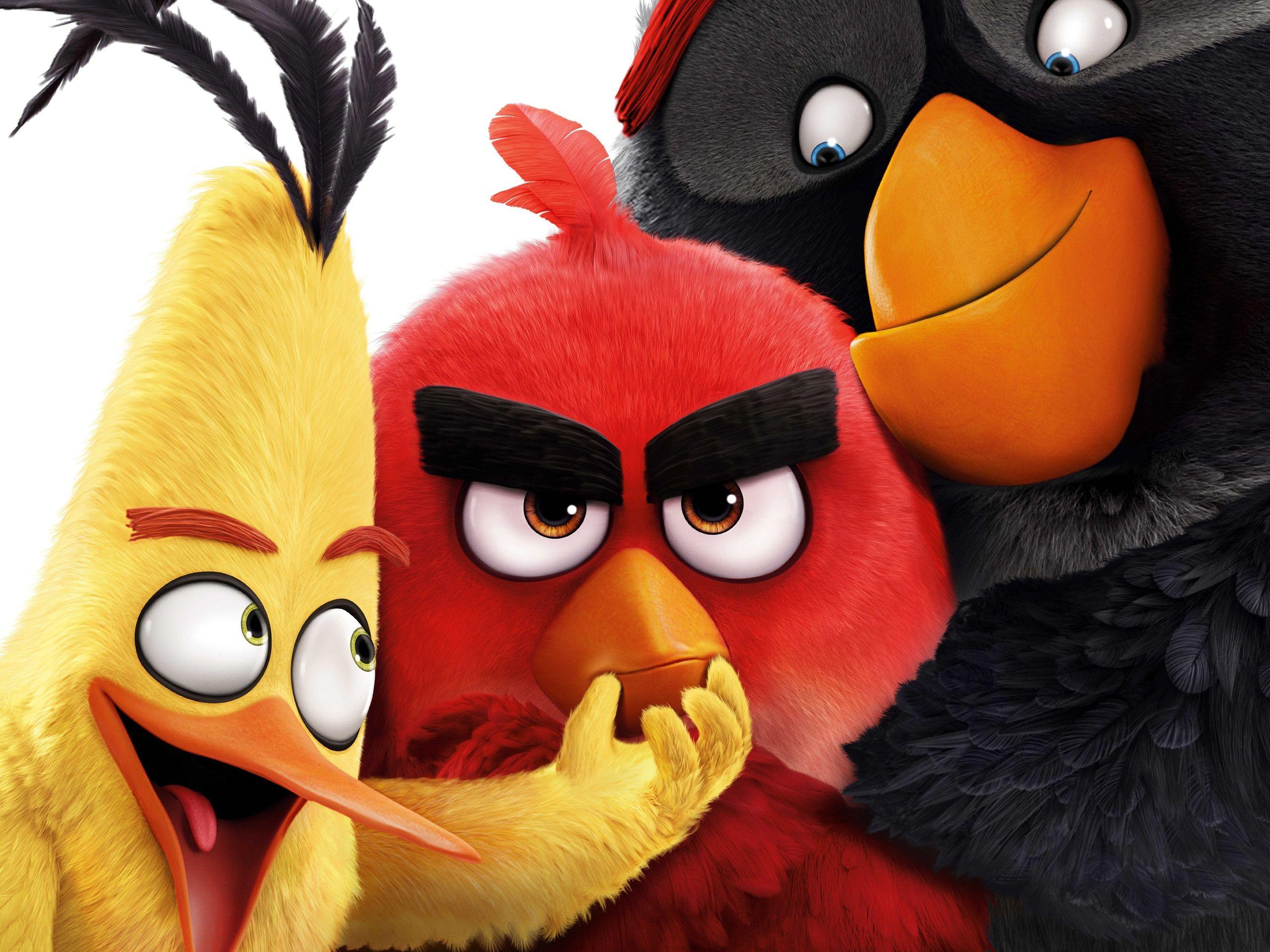Angry Birds Movie Red Wallpapers Wallpaper Cave