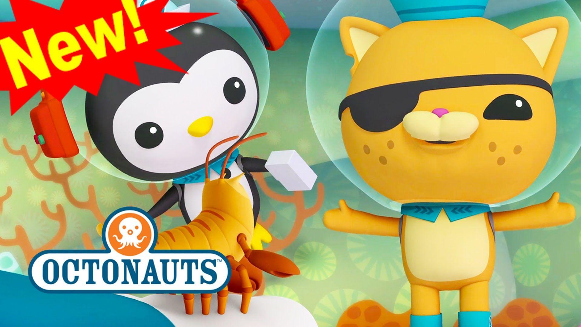 The Octonauts Wallpapers Wallpaper Cave