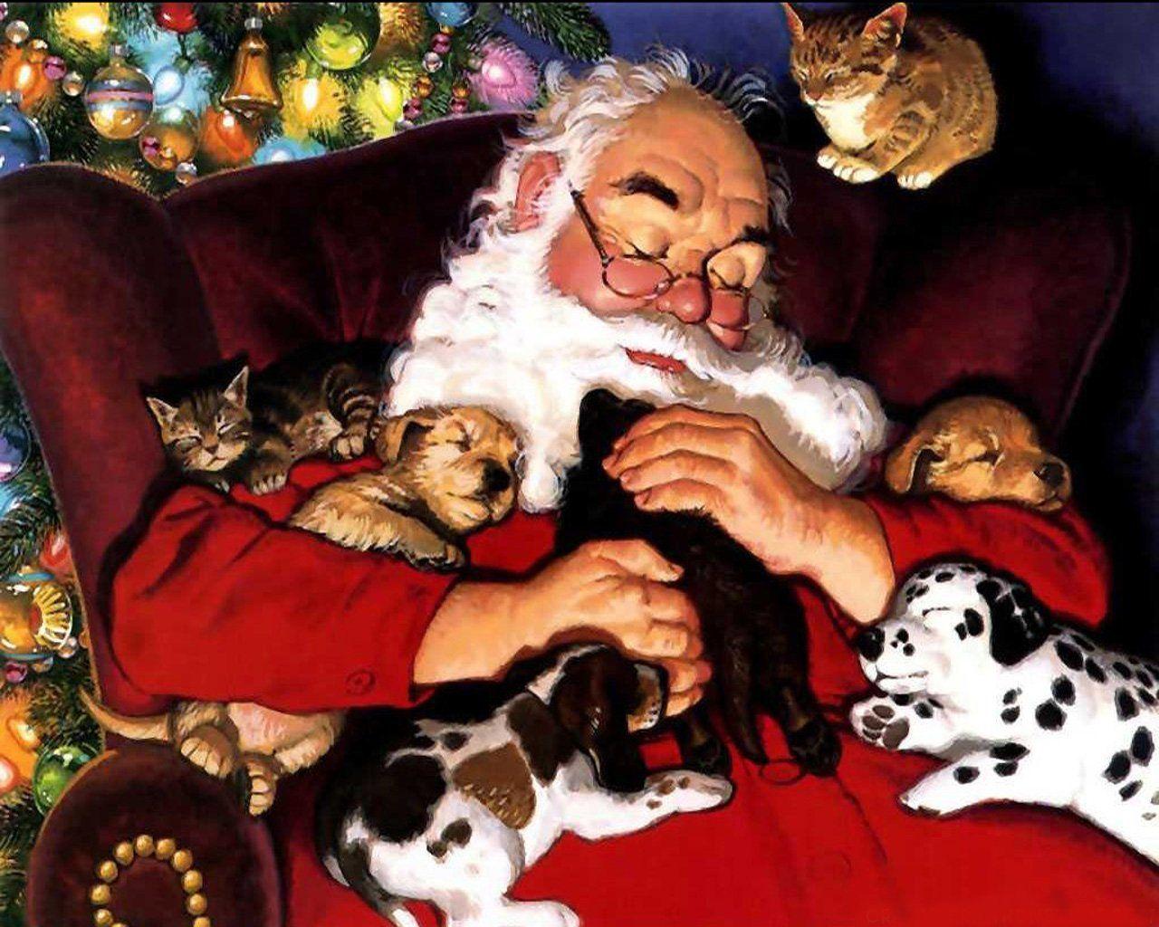Cat And Dog Christmas Wallpapers Wallpaper Cave