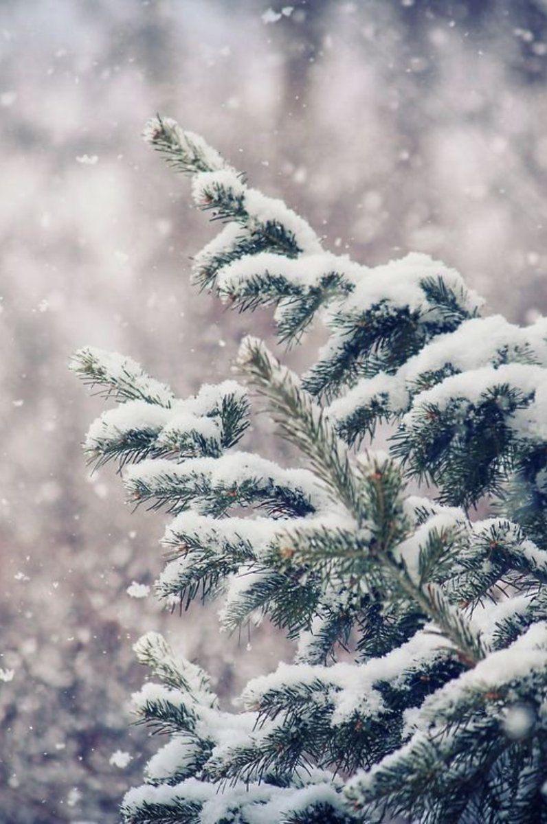 Snow Phone Wallpapers Wallpaper Cave