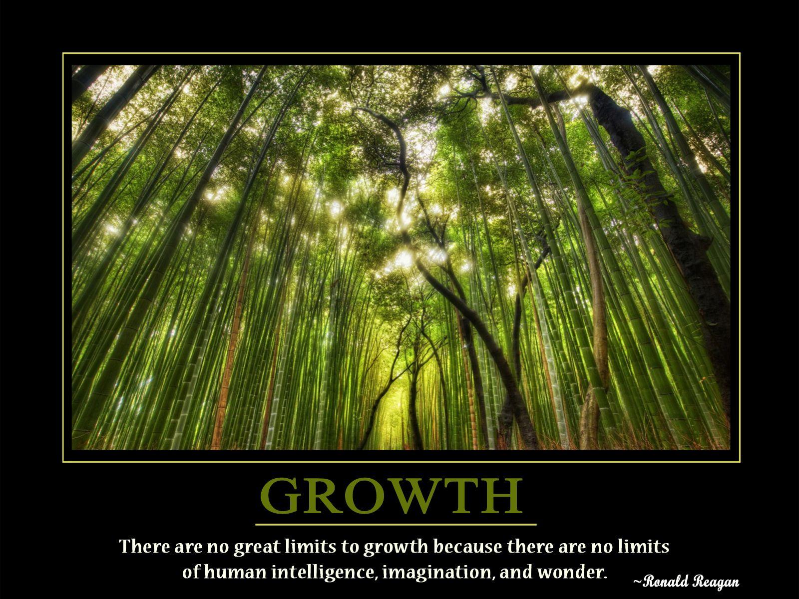 Growth Wallpapers Wallpaper Cave