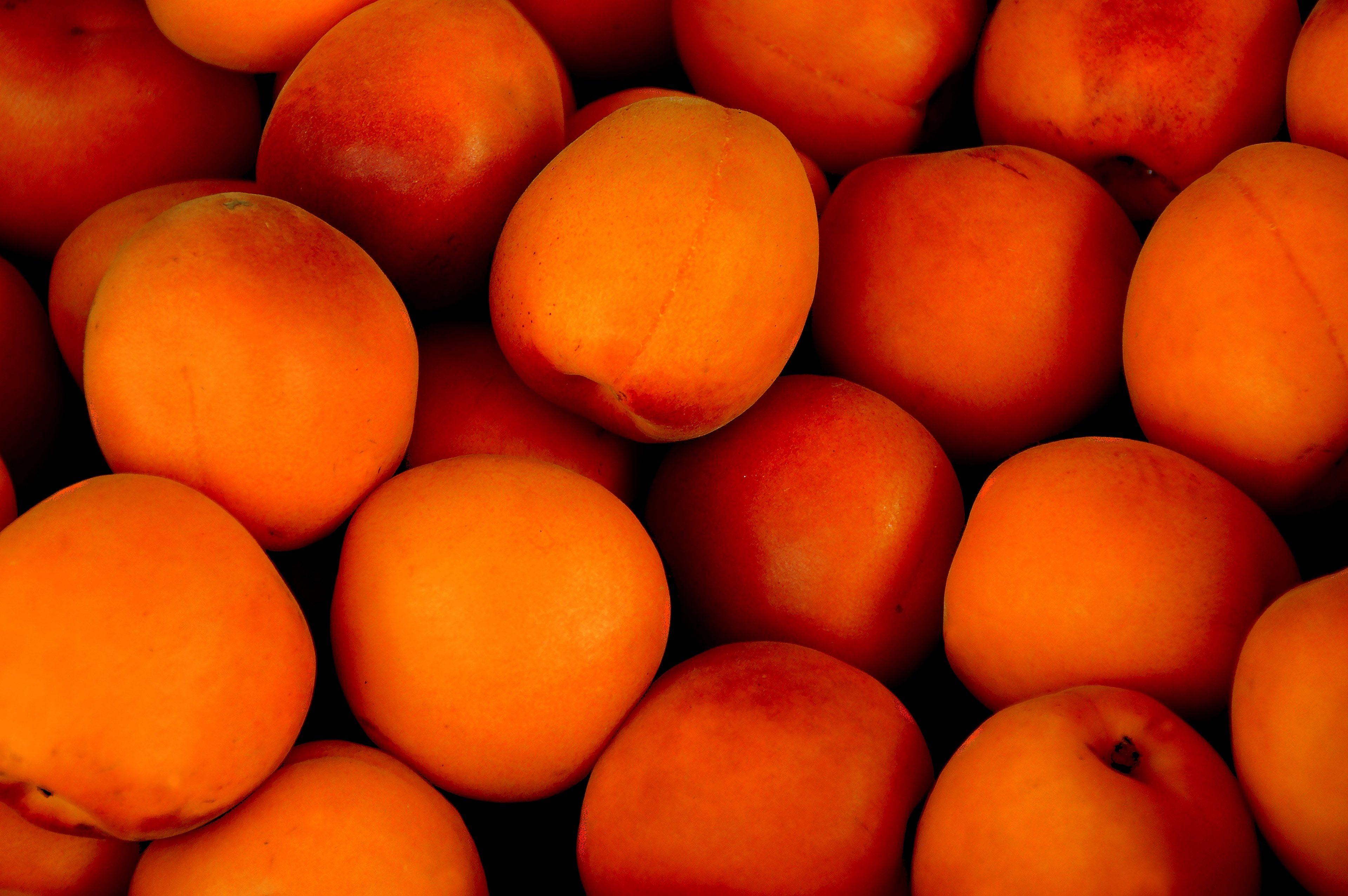 Apricot Wallpapers Wallpaper Cave