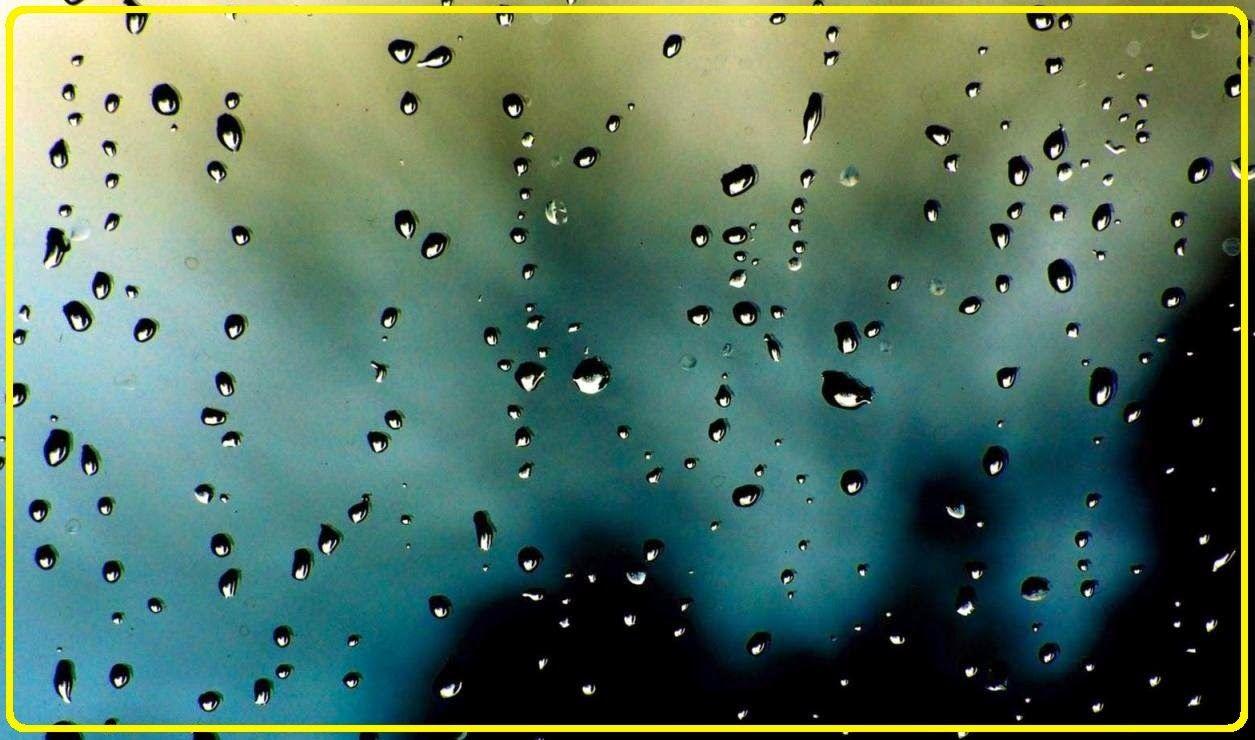 Zedge Wallpapers Wallpaper Cave