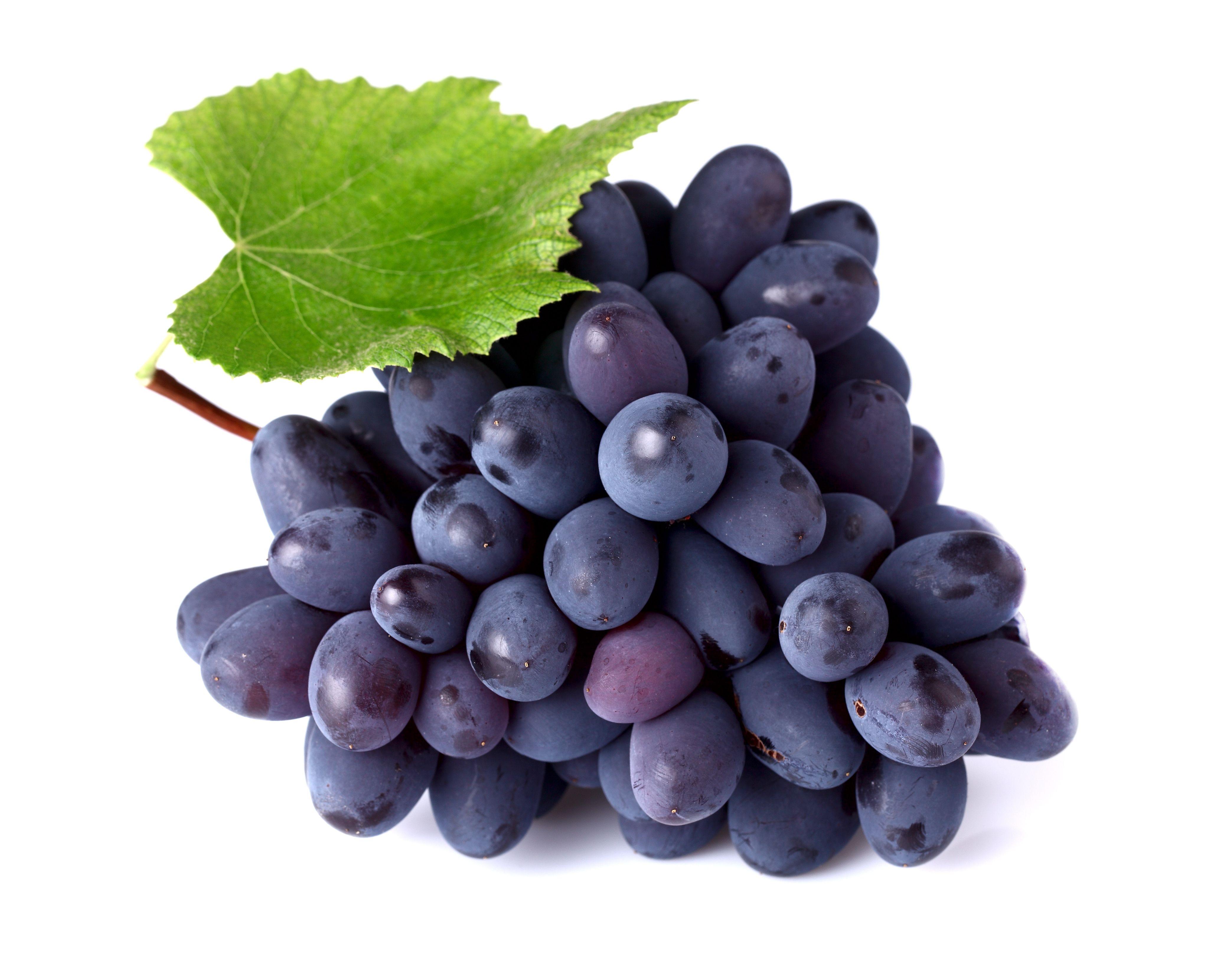 Grape Wallpapers Wallpaper Cave