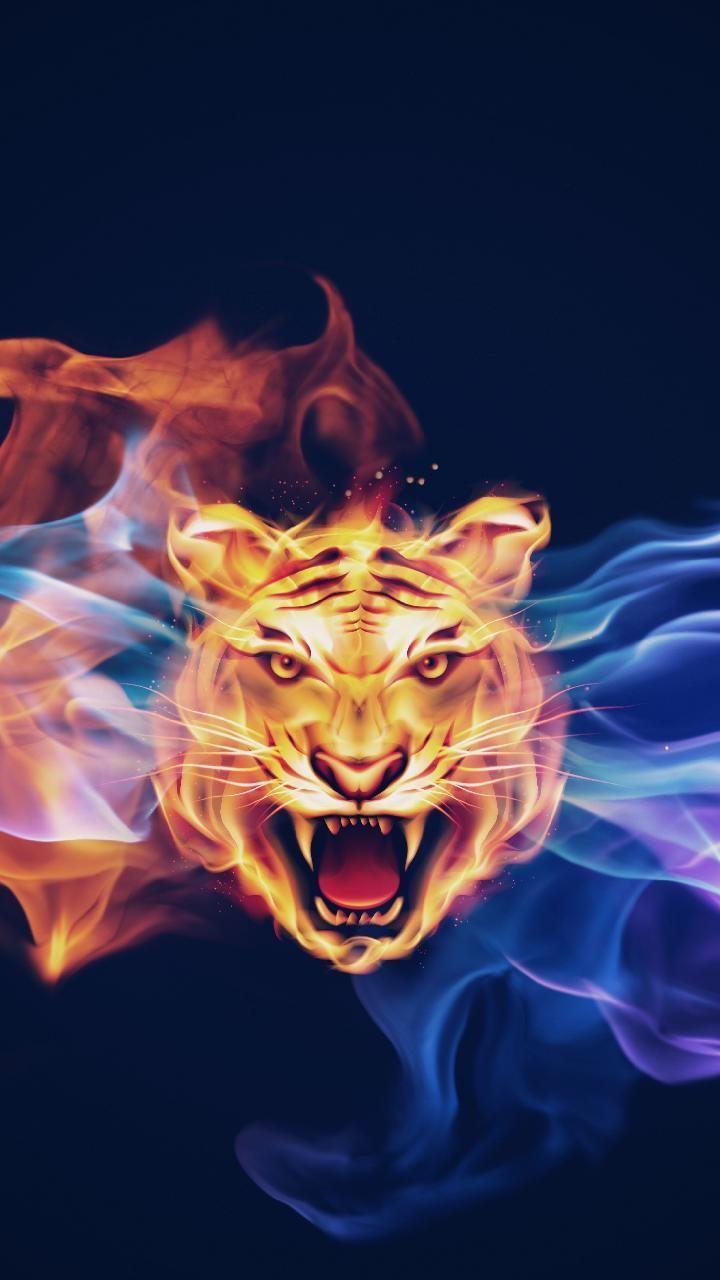 Fire Tiger Wallpapers Wallpaper Cave