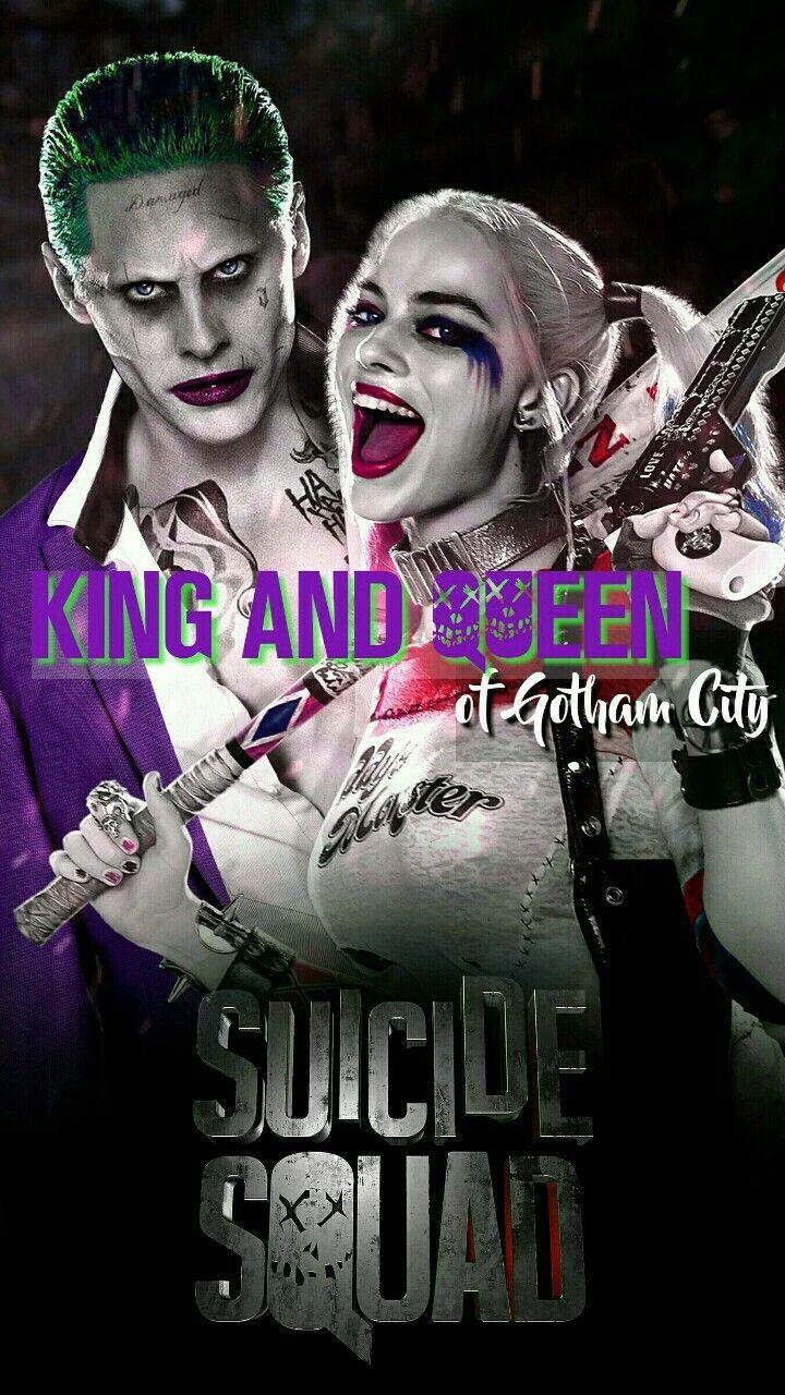 Puddin Wallpapers Wallpaper Cave