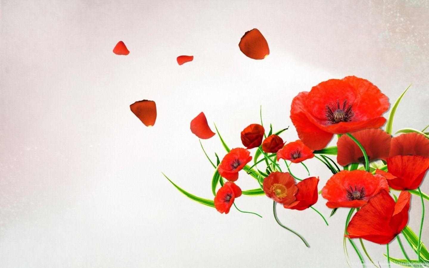 Poppy Flowers Wallpapers Wallpaper Cave