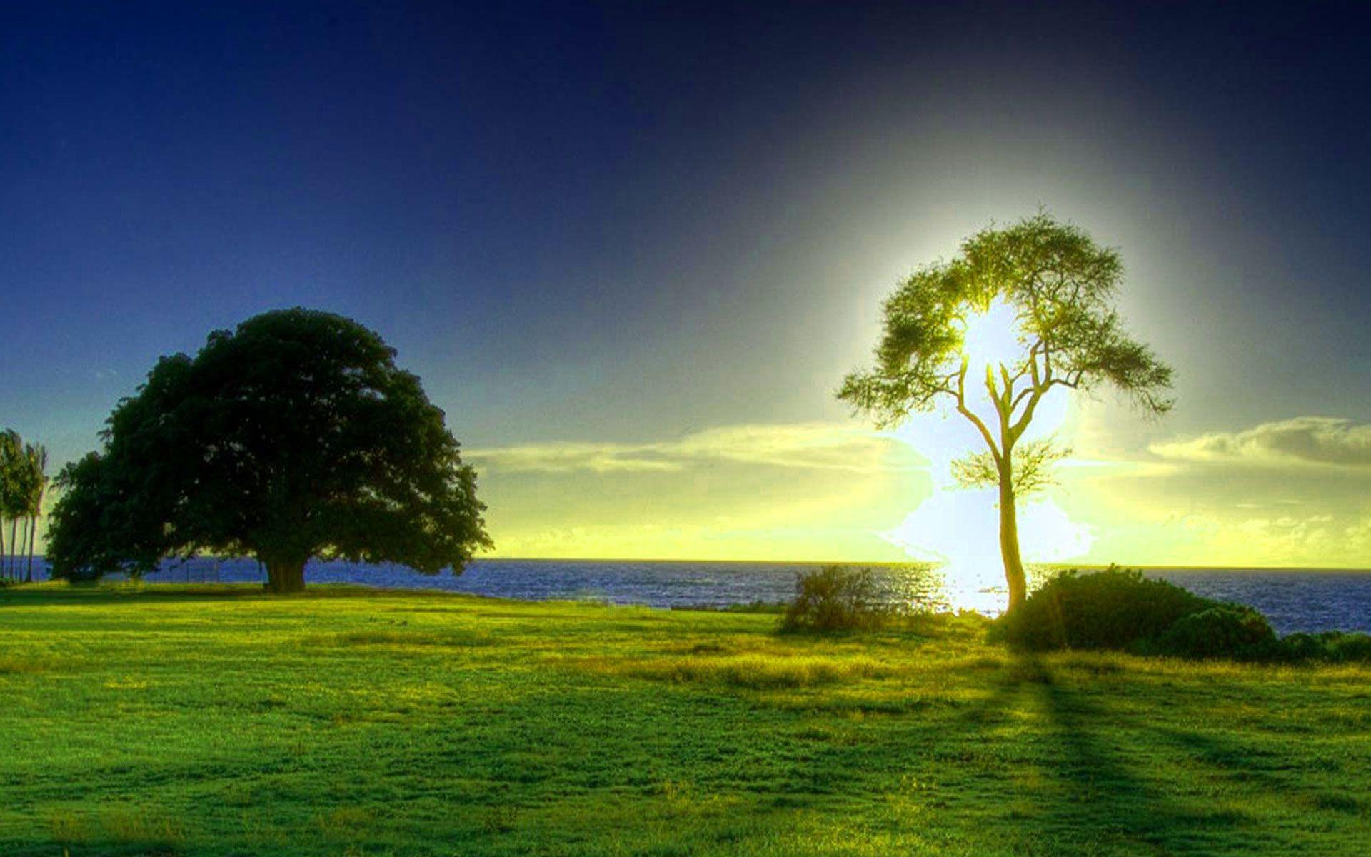 Amanecer Wallpapers Wallpaper Cave