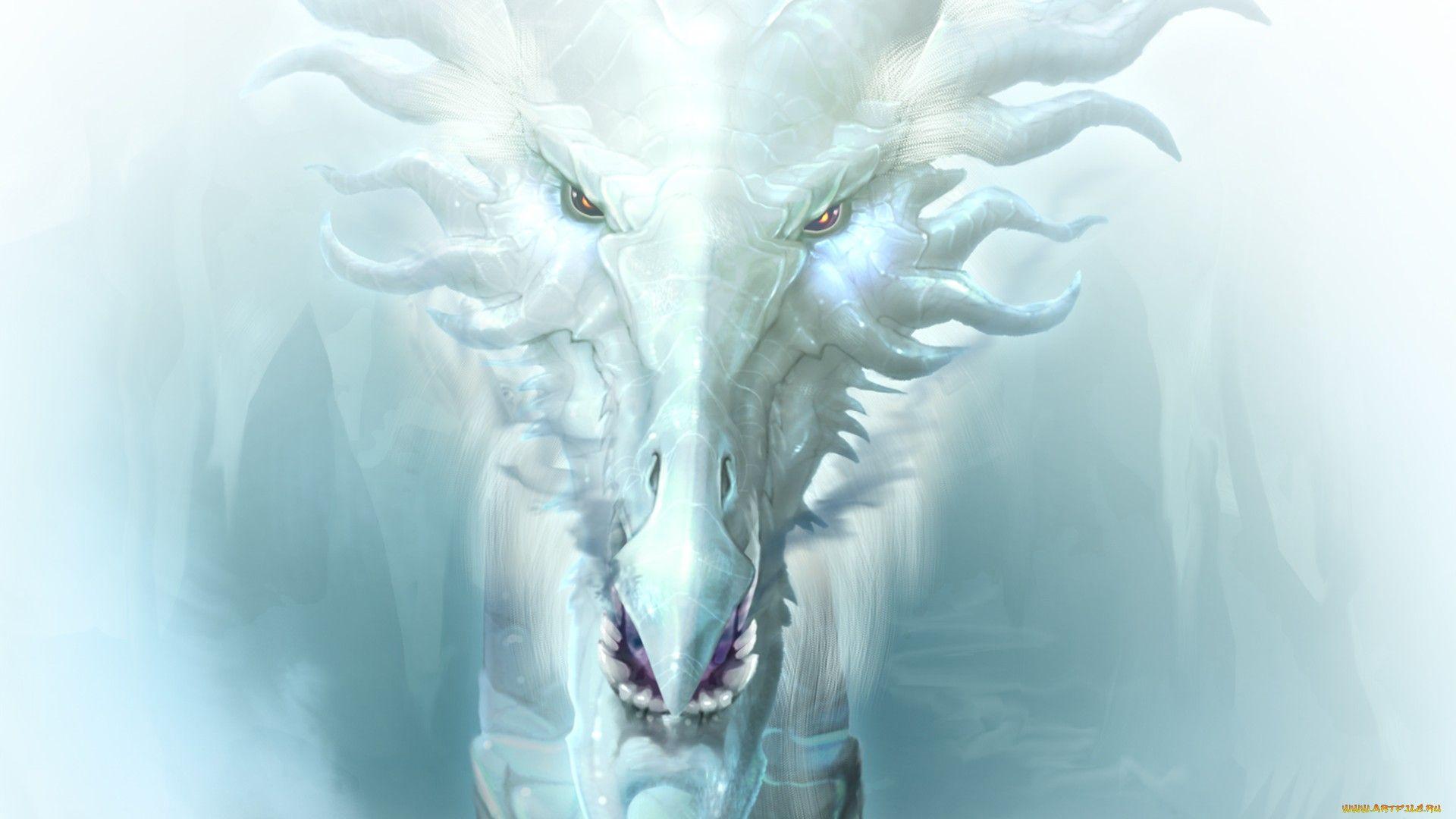 White Dragons Wallpapers Wallpaper Cave
