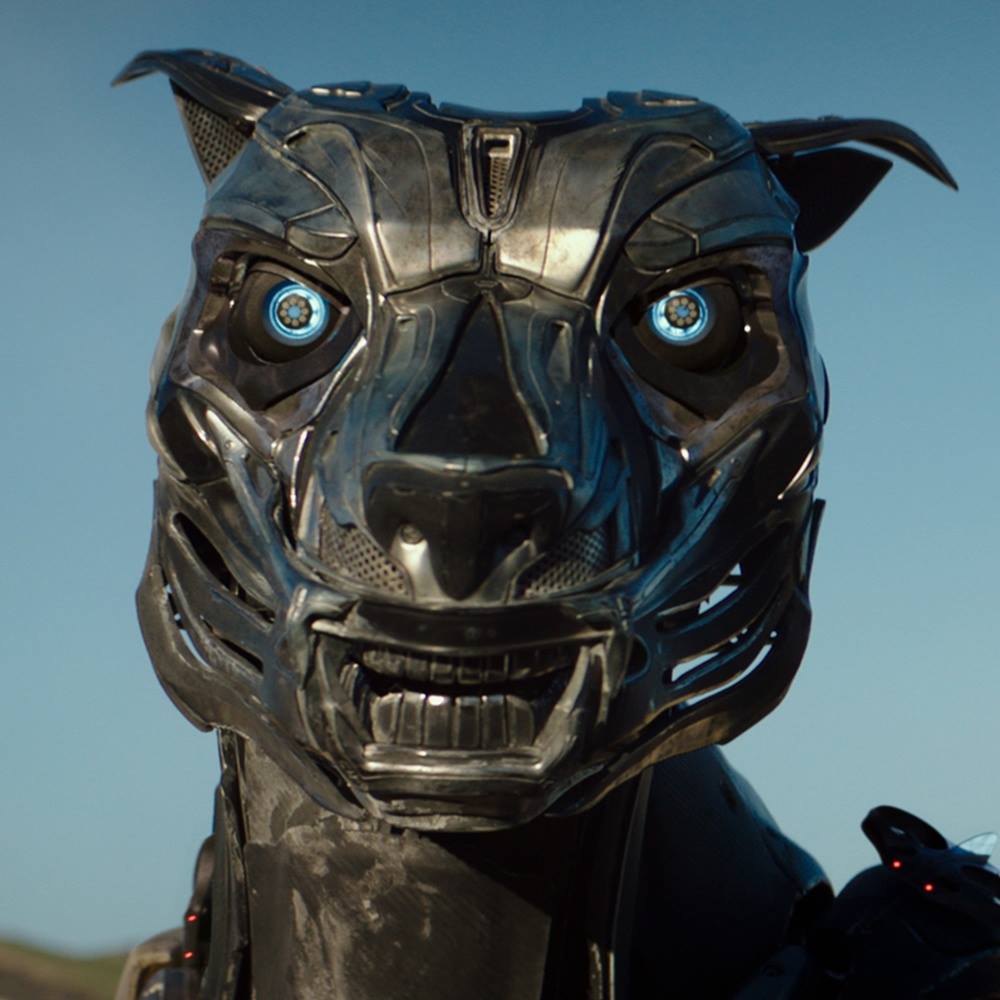 AXL Movie Wallpapers Wallpaper Cave