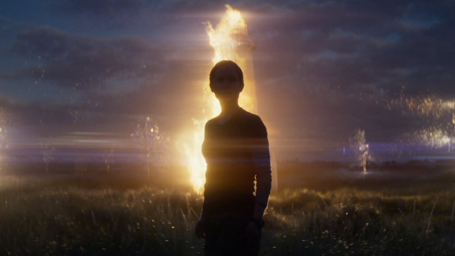Annihilation Netflix Wallpapers Wallpaper Cave