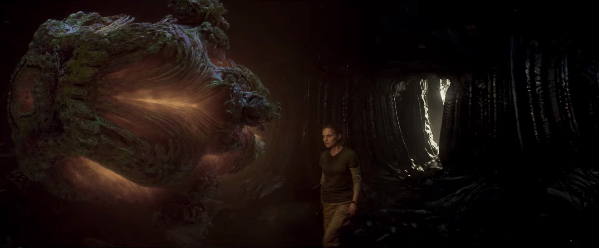 Annihilation Netflix Wallpapers Wallpaper Cave