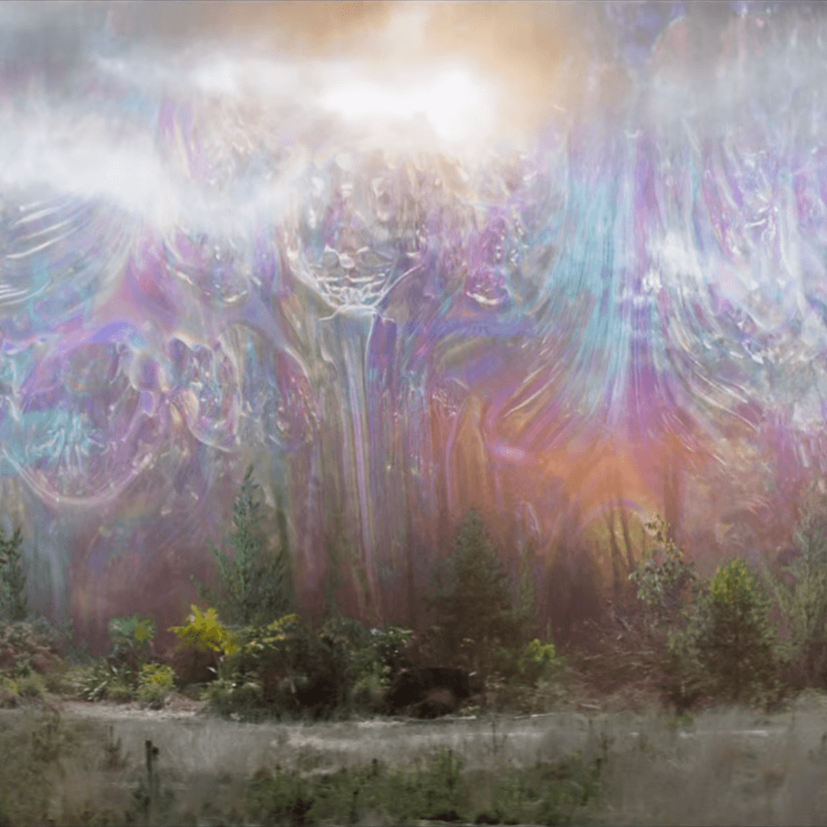 Annihilation Netflix Wallpapers Wallpaper Cave