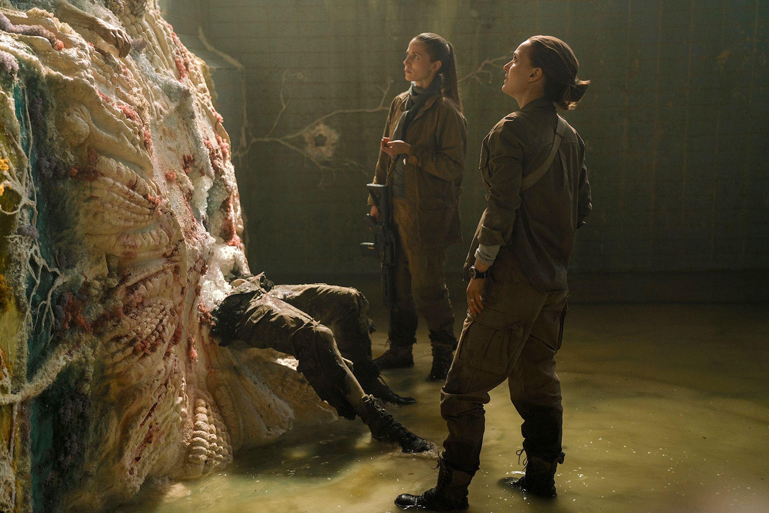 Annihilation Netflix Wallpapers Wallpaper Cave