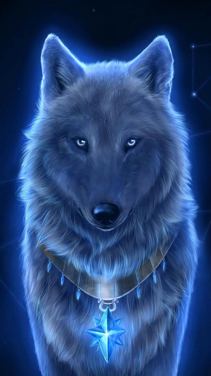Alpha Wolf Wallpapers Wallpaper Cave