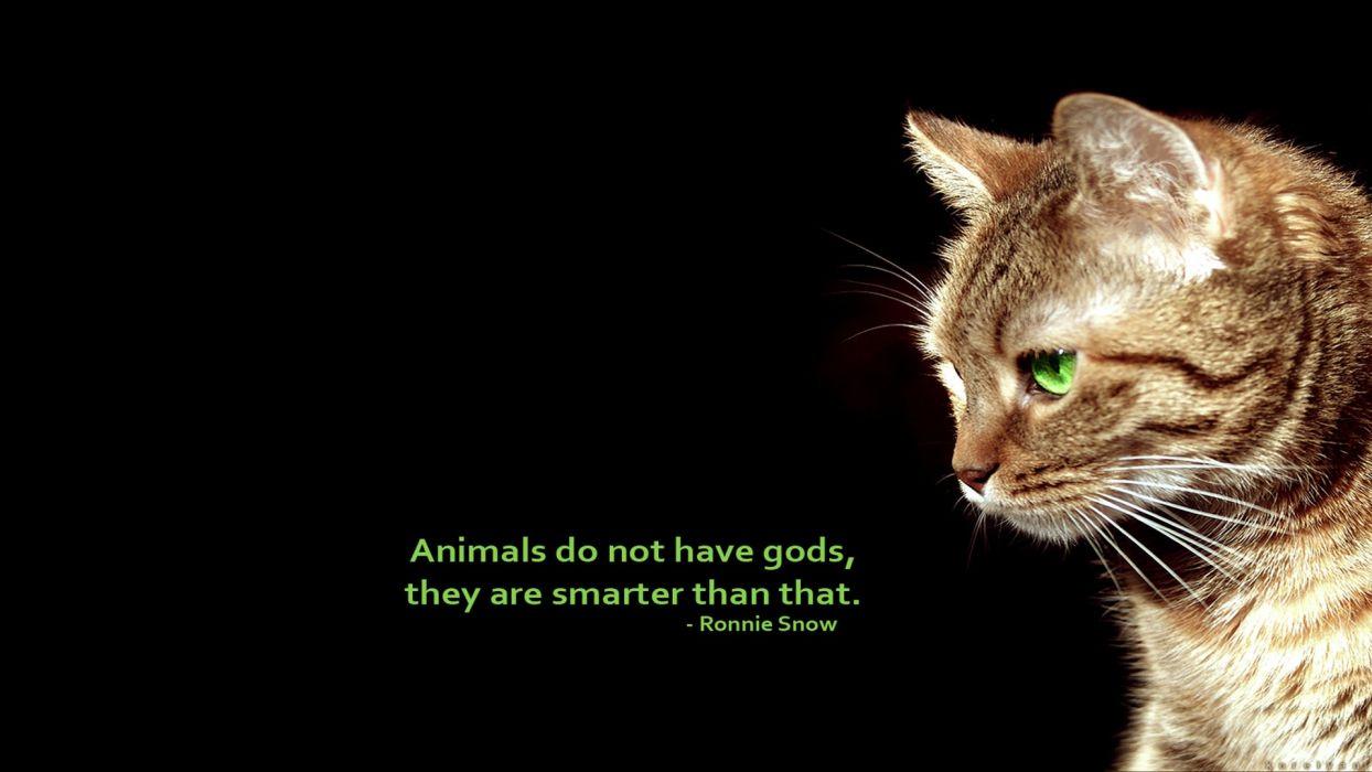 Animal Quotes Wallpapers Wallpaper Cave