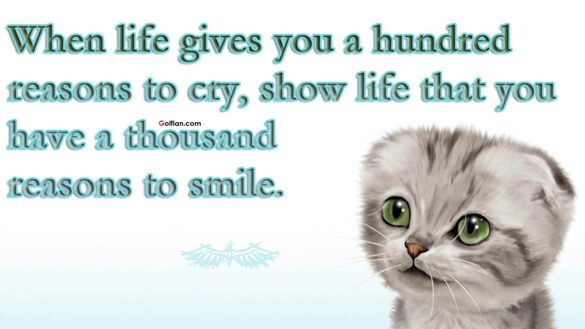 Animal Quotes Wallpapers Wallpaper Cave