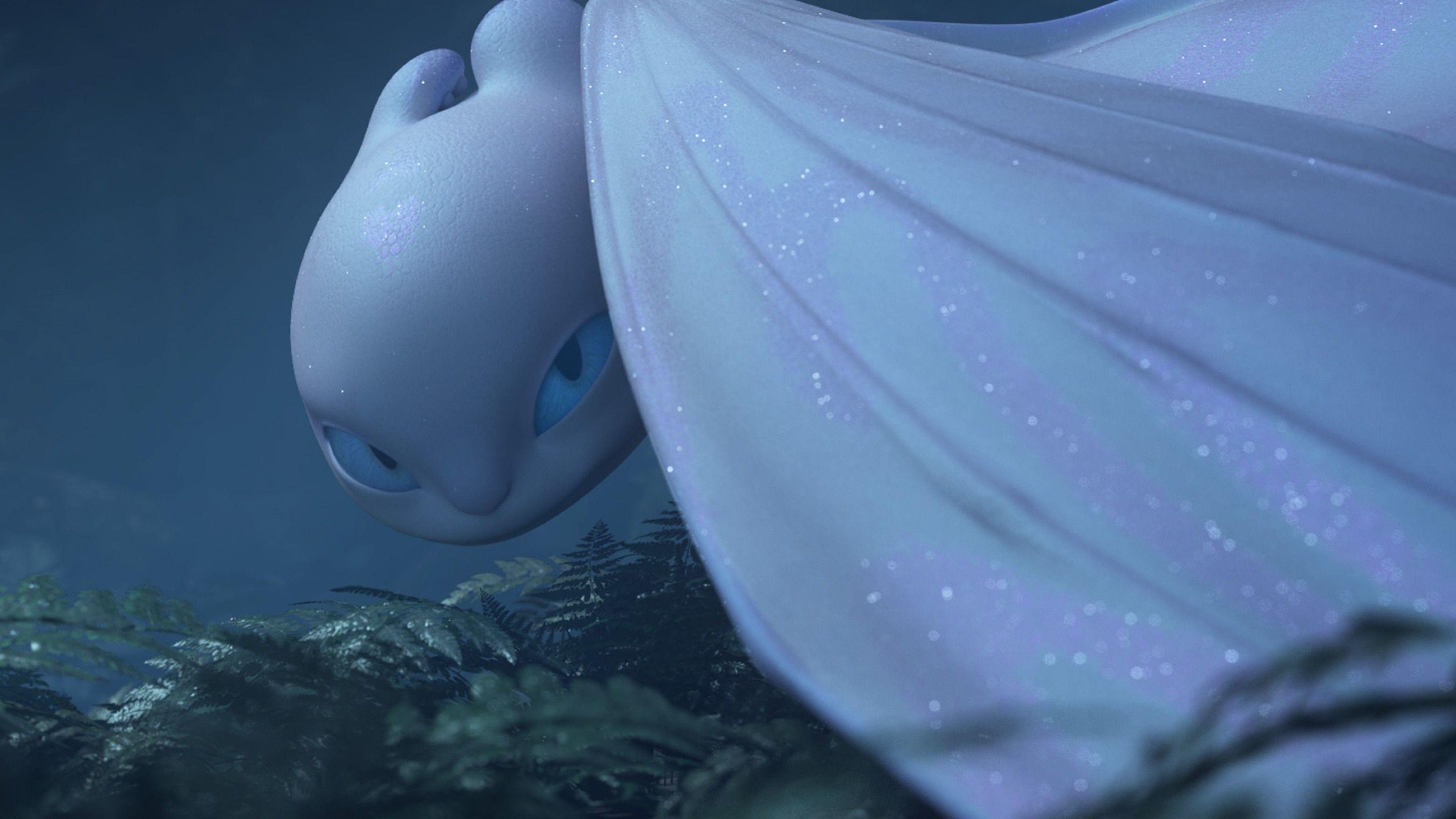 How To Train Your Dragon The Hidden World Wallpapers Wallpaper Cave