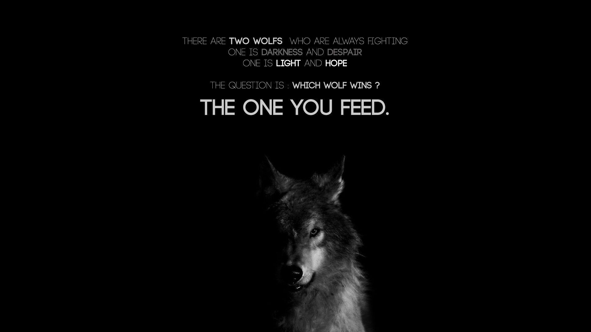 Wolf Quotes Wallpapers Wallpaper Cave