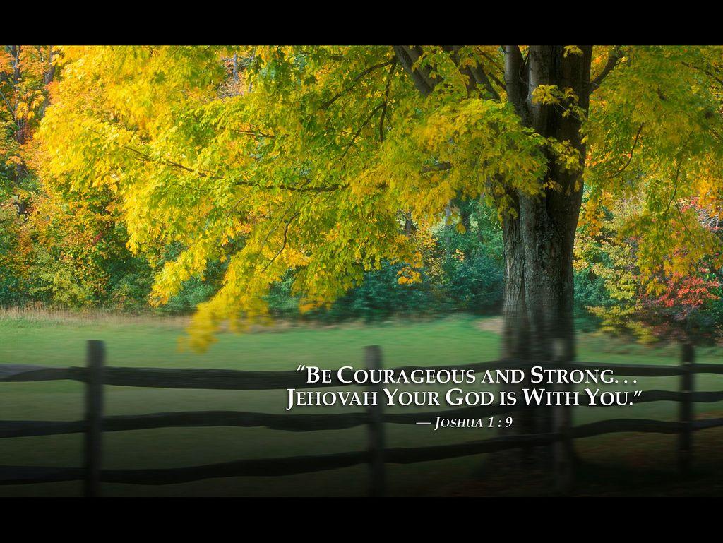 Jehovah's Witnesses Wallpapers Wallpaper Cave