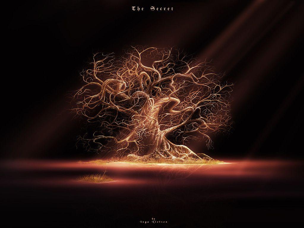 Dead Tree Wallpapers Wallpaper Cave